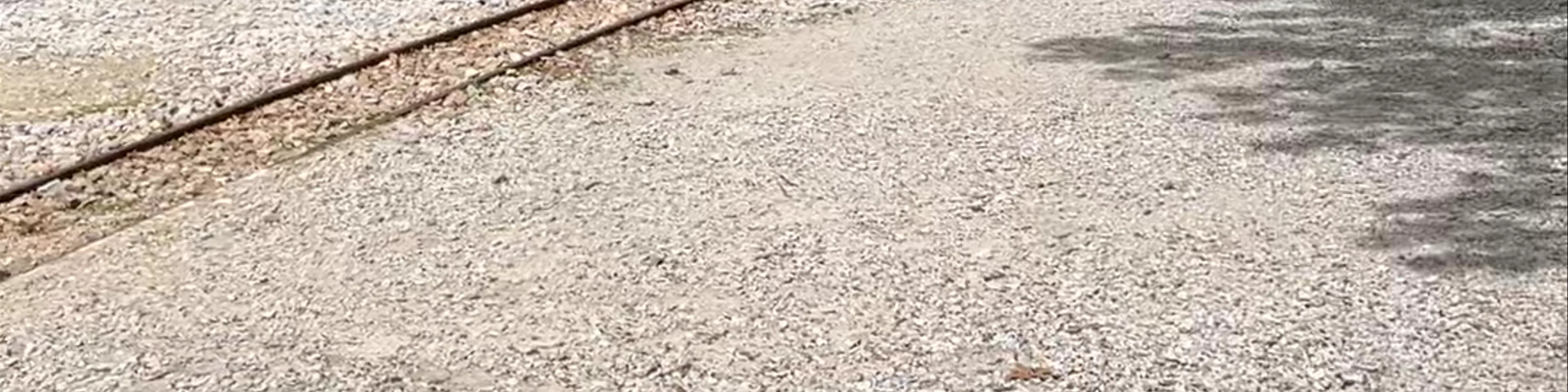 The Train of Pilio (Ano Lekhonia - Milies)