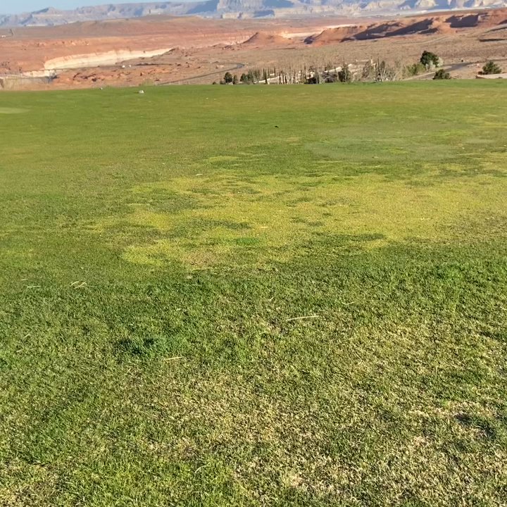 Lake Powell National Golf Course - Golf Near Me - Page, Arizona
