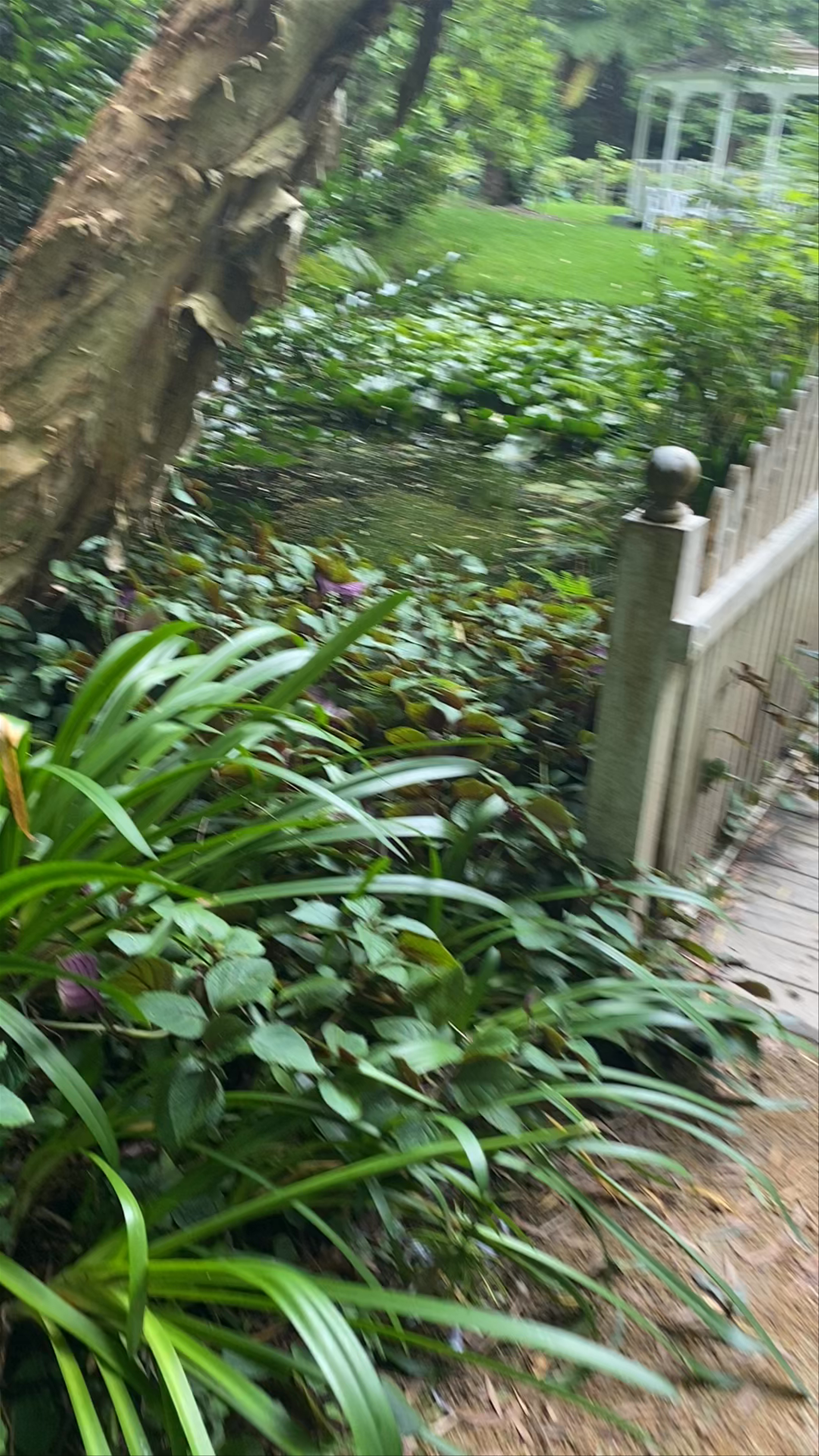 Firescreek Botanical Winery