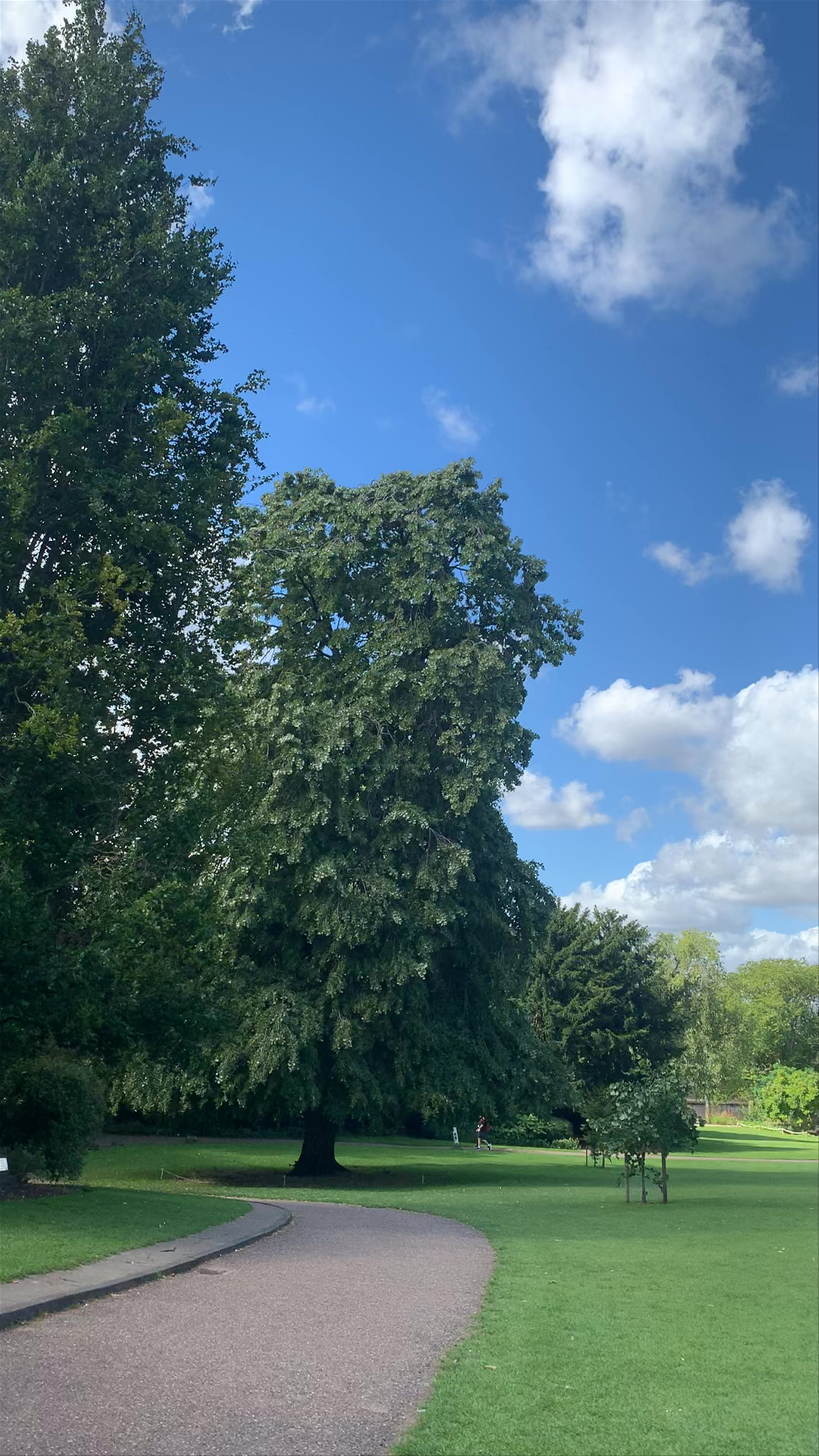 Museum Gardens