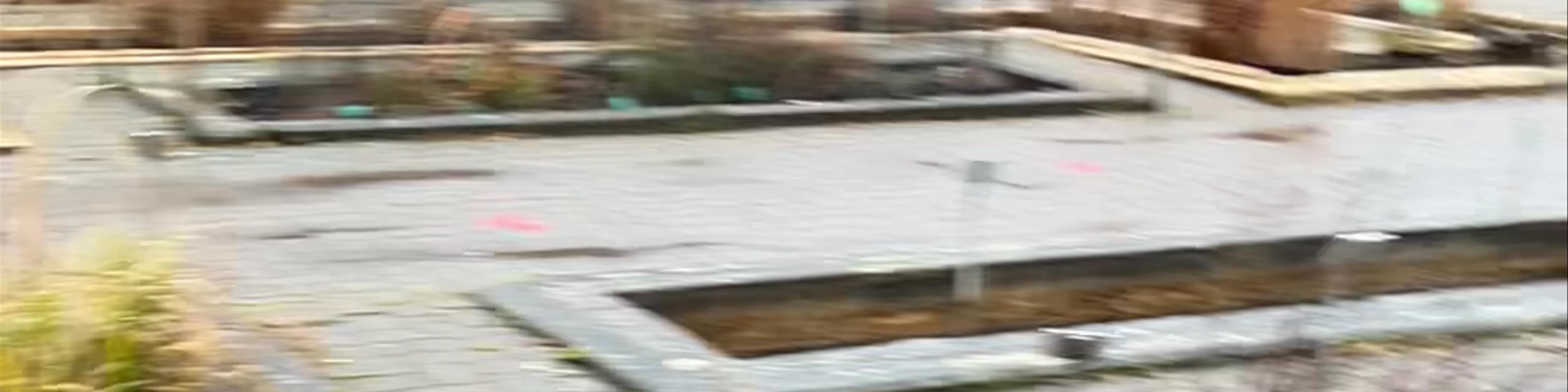 Jardin Botanique de l'université de Strasbourg