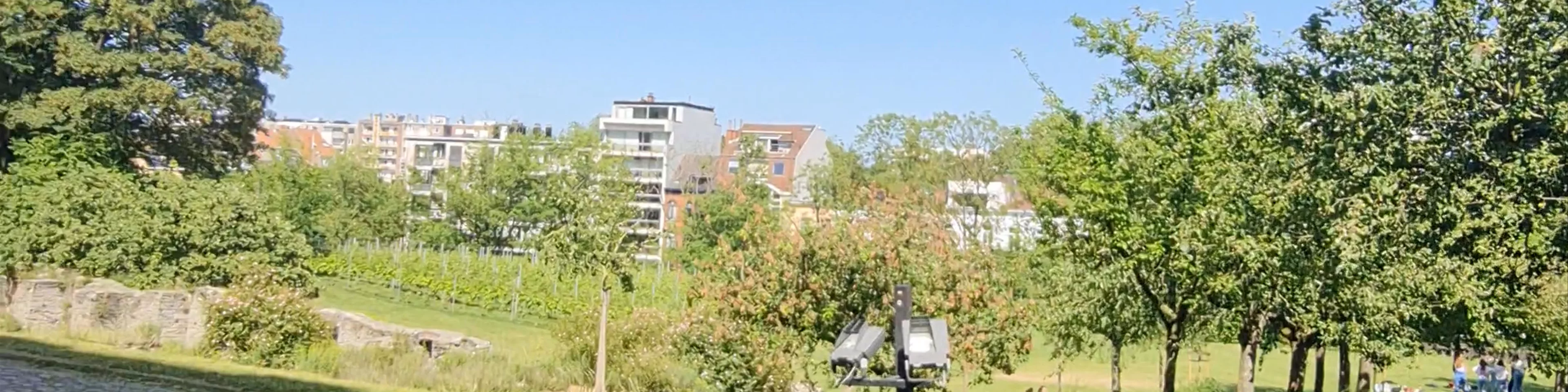 Sint-Pieterstuin