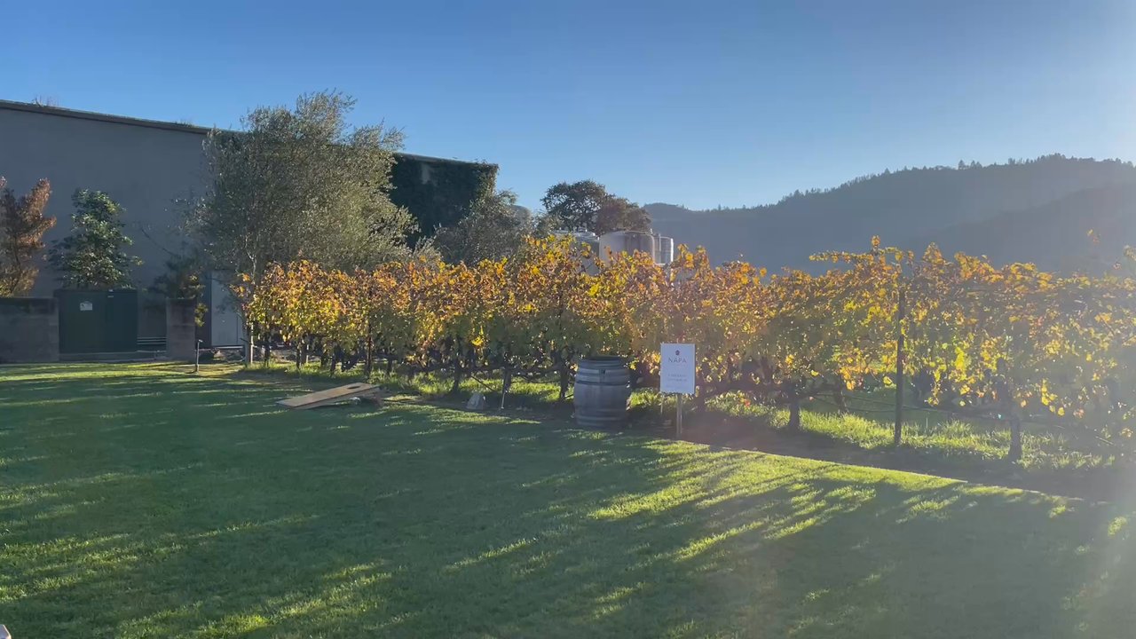 Napa Cellars - Wineries Near Me - Oakville, California