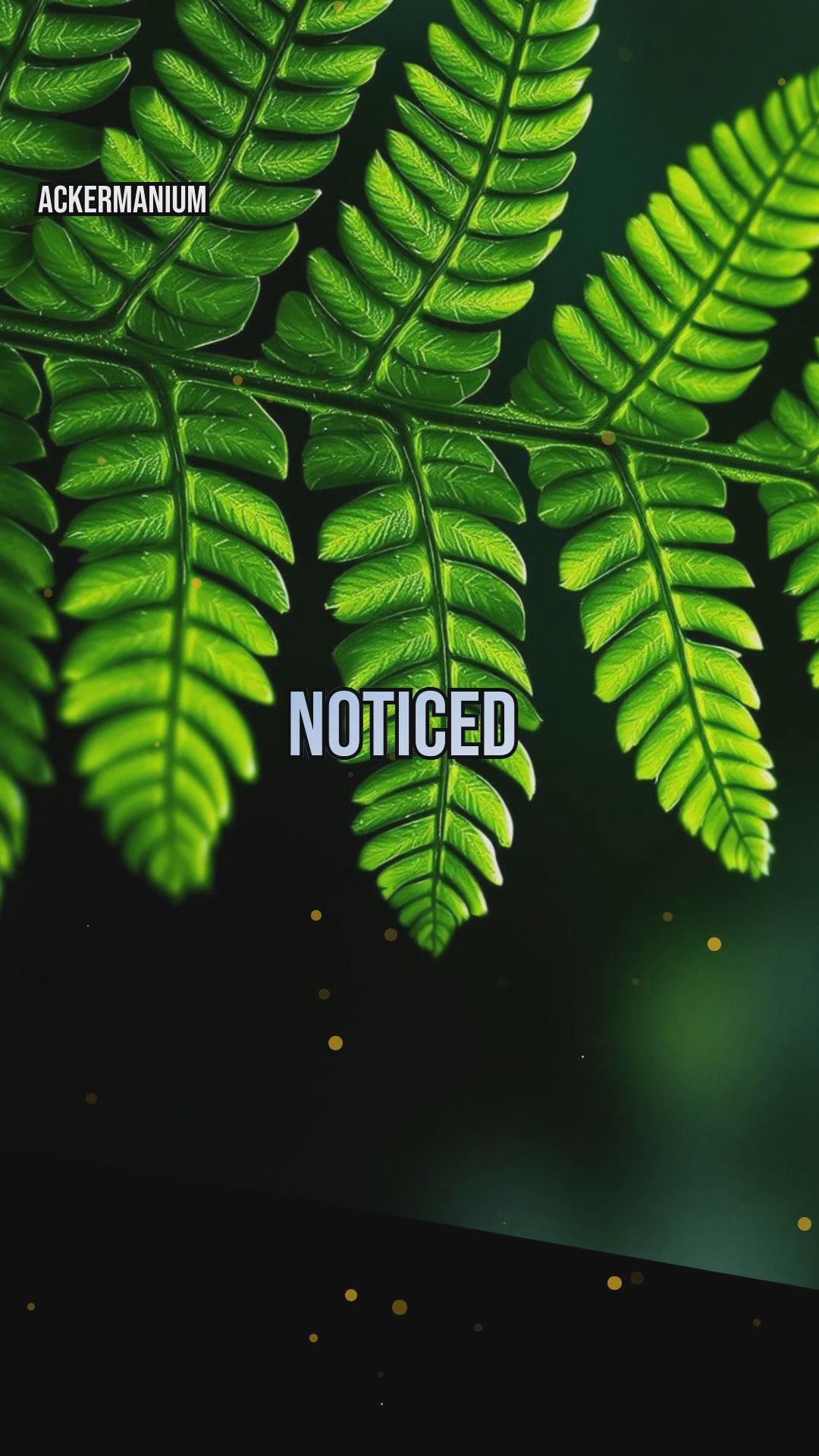 Fractals in Nature: Hidden Math in Leaves, Snowflakes & Coastlines