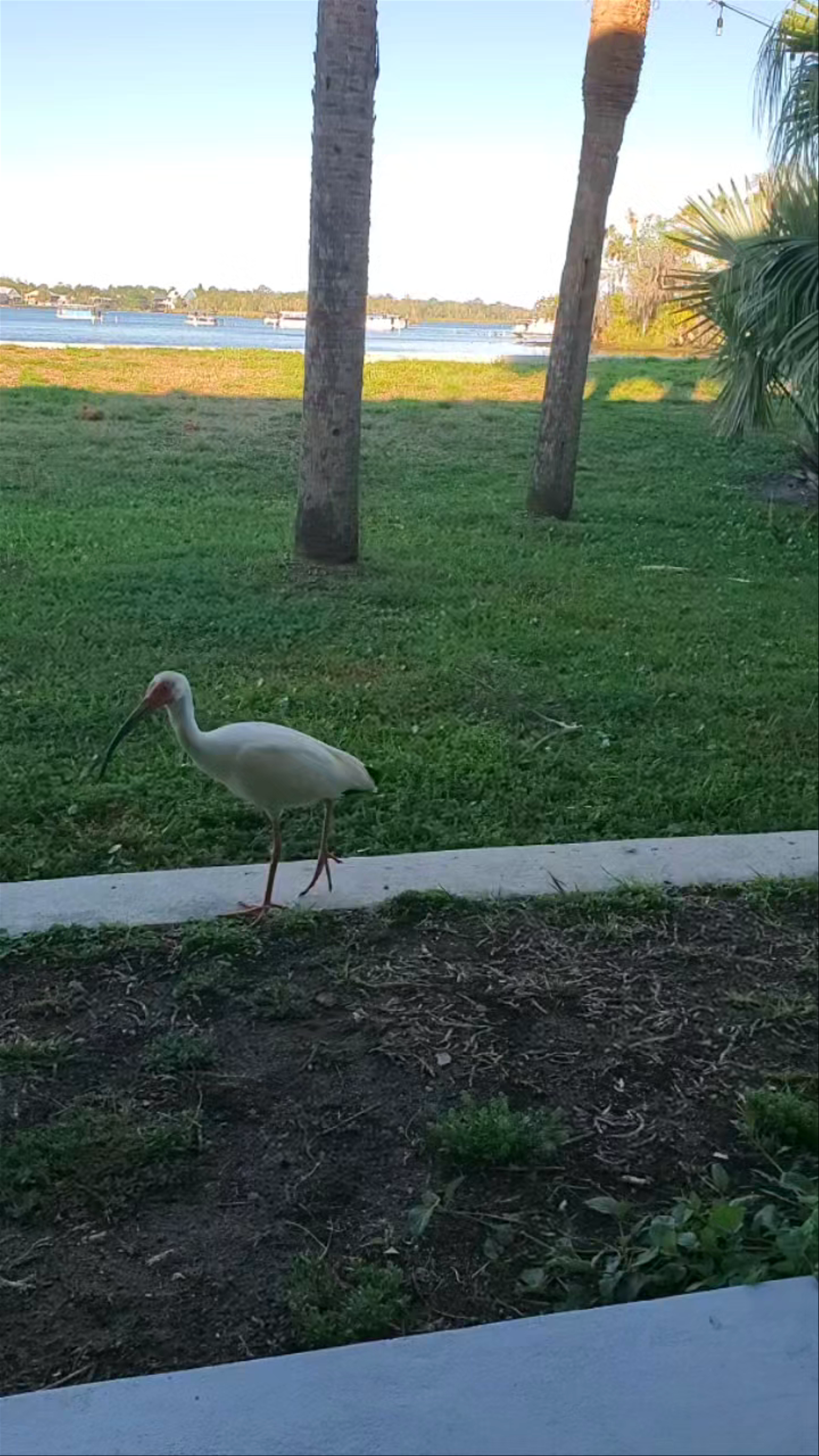 The Port Hotel and Marina