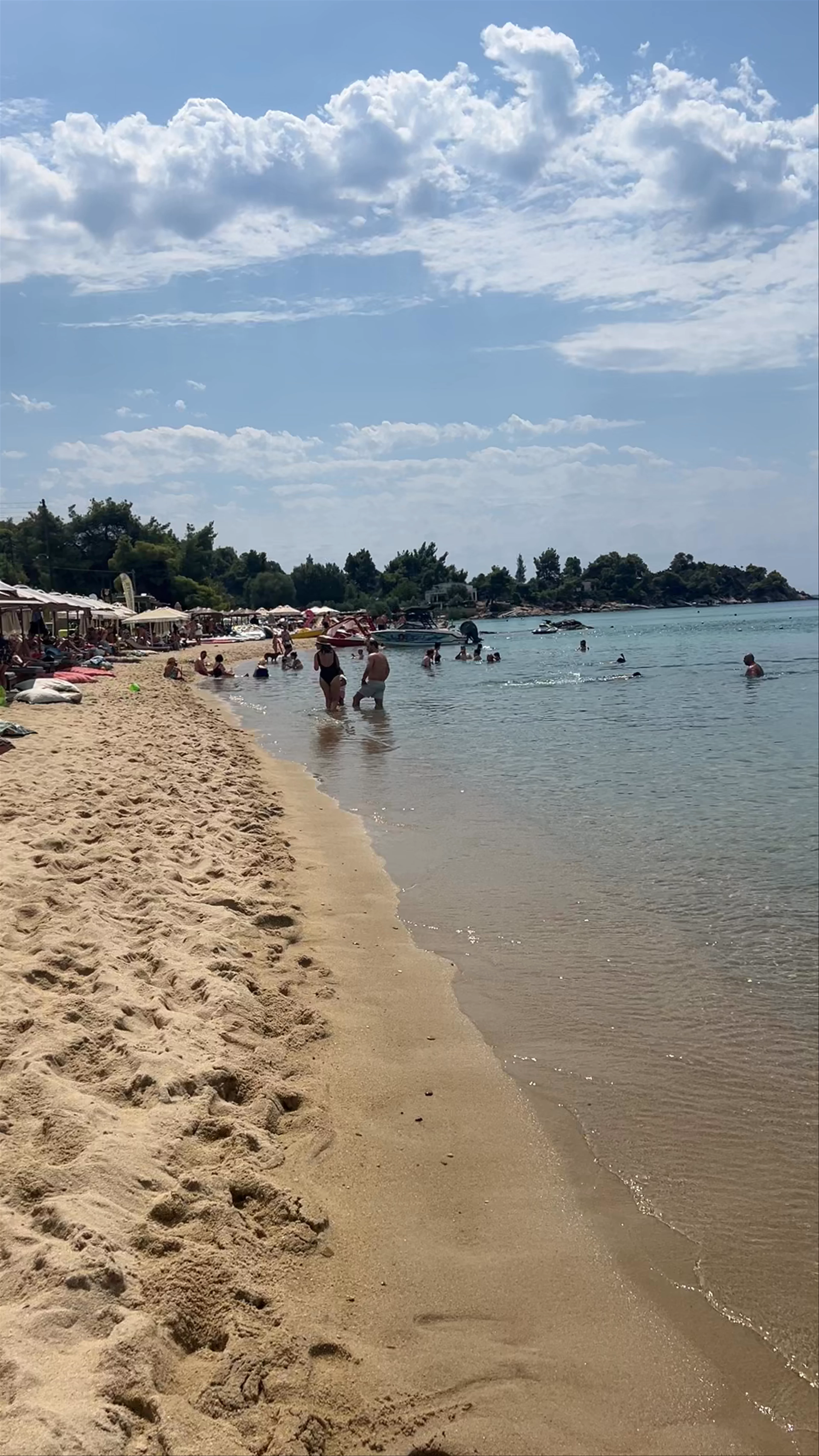 Taos Beach Bar