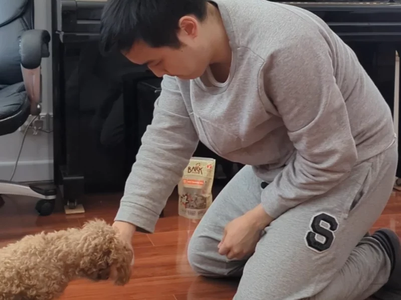 PawPantry - UGC Dog Video