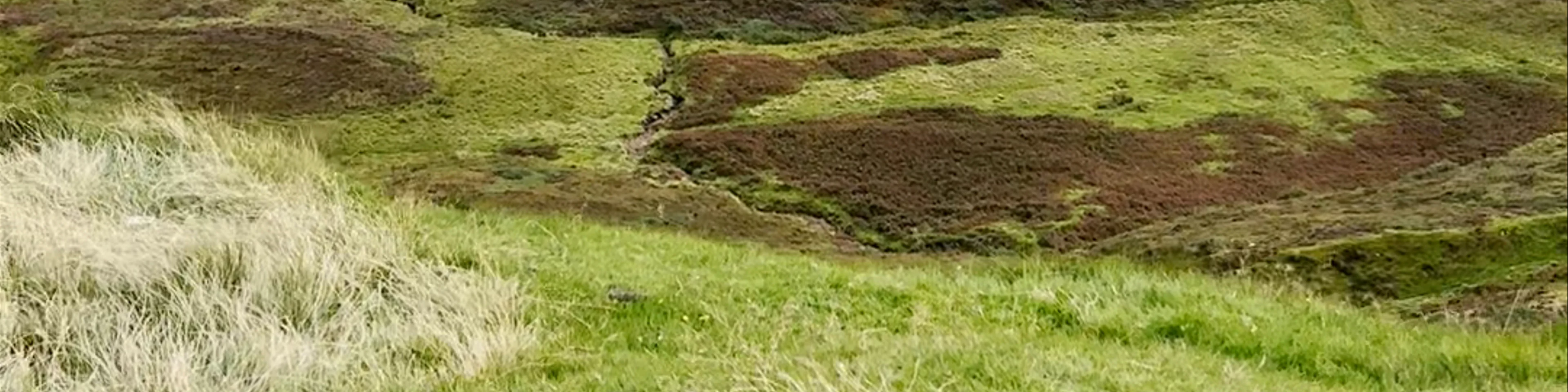 Quiraing