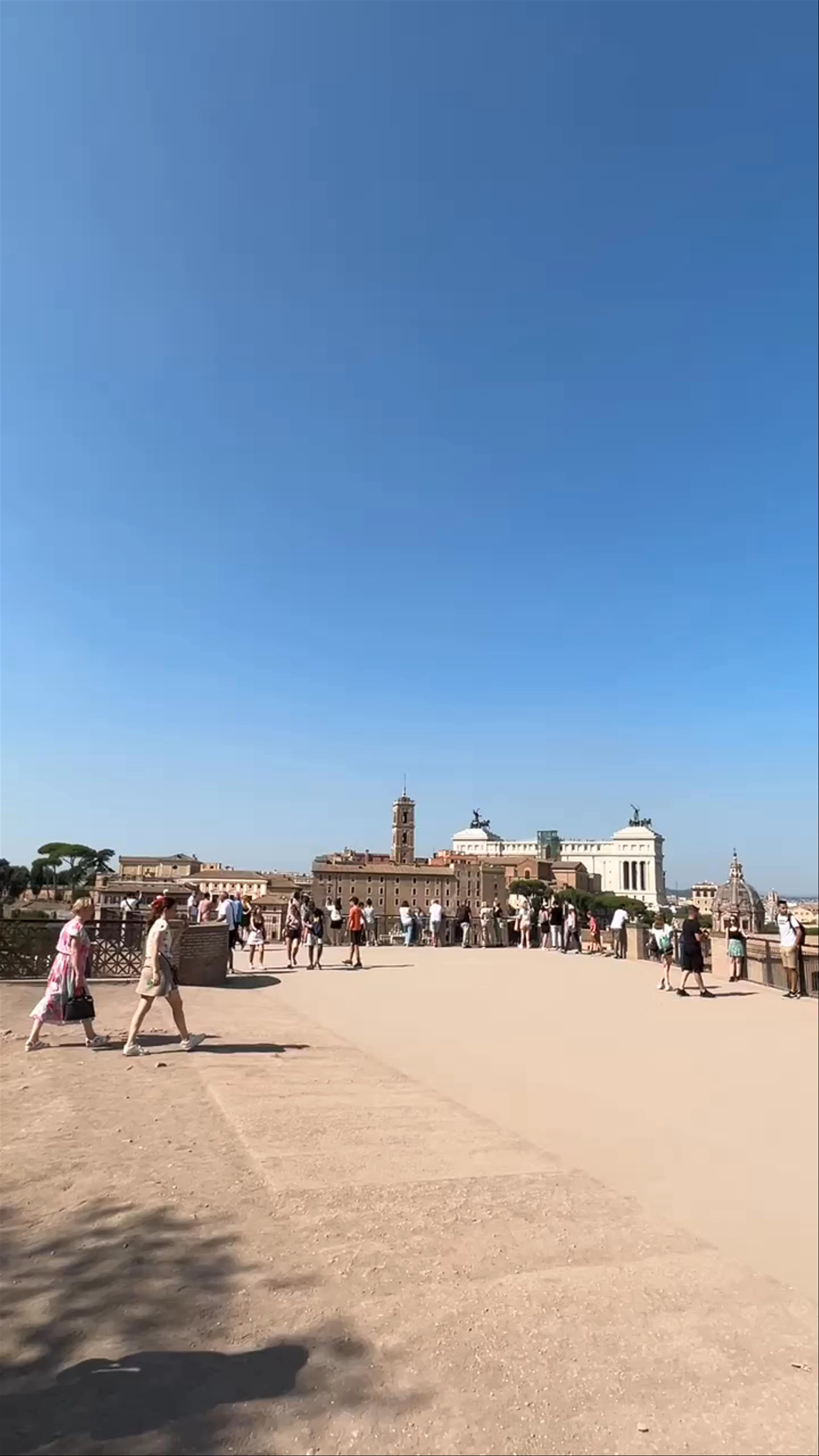 Palatino