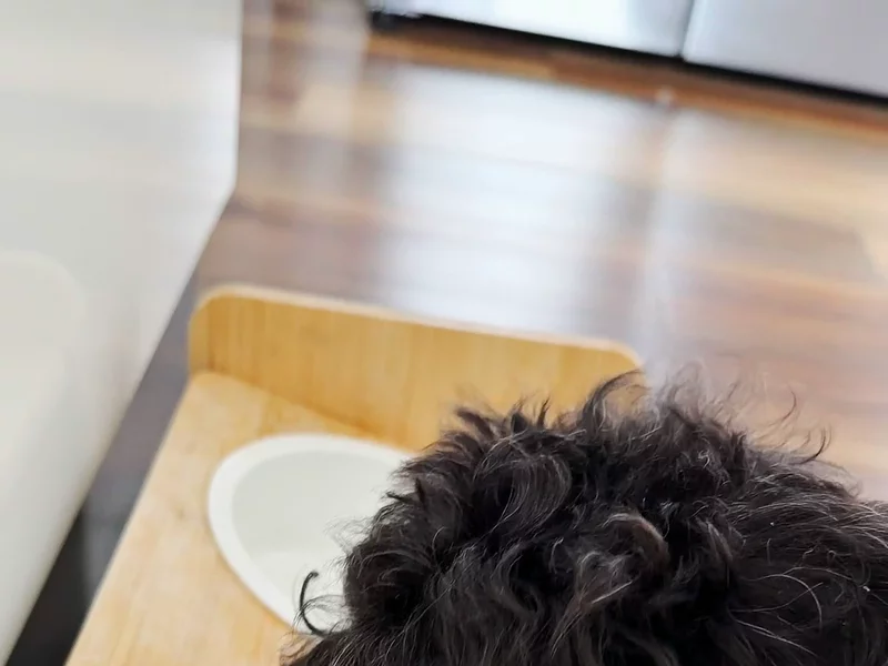 Ad for Pet supplement