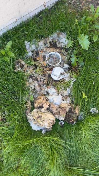 Lighthouse Building Services - Clogged drain from faulty pump motor - Roofing Near Me - Jacksonville, Florida