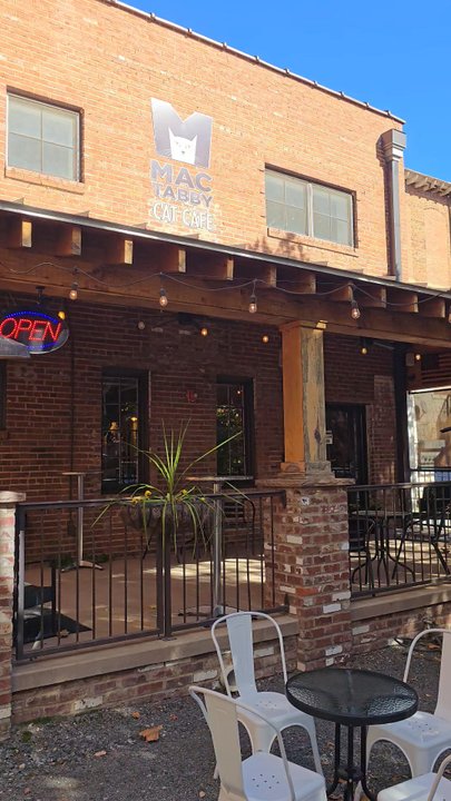 Mac Tabby Cat Cafe - So cute and rustic! - Coffee & Tea Near Me - Concord, North Carolina