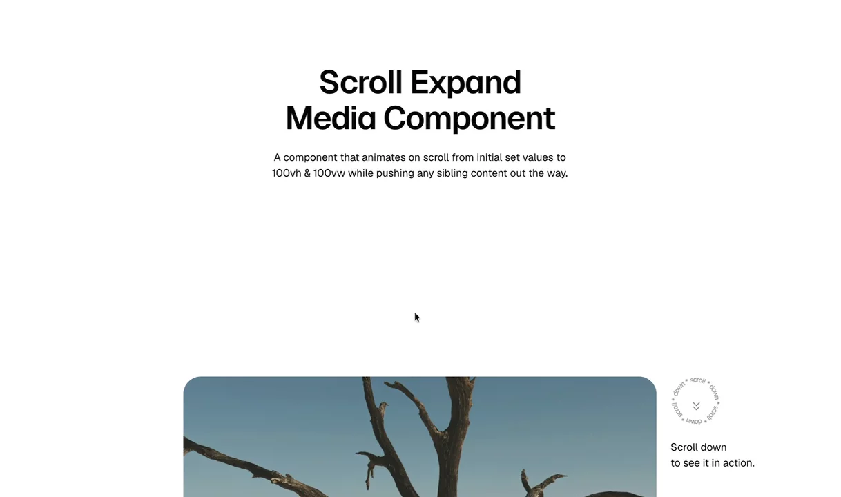 Reminder to grab this free component and spice up your scrolls.