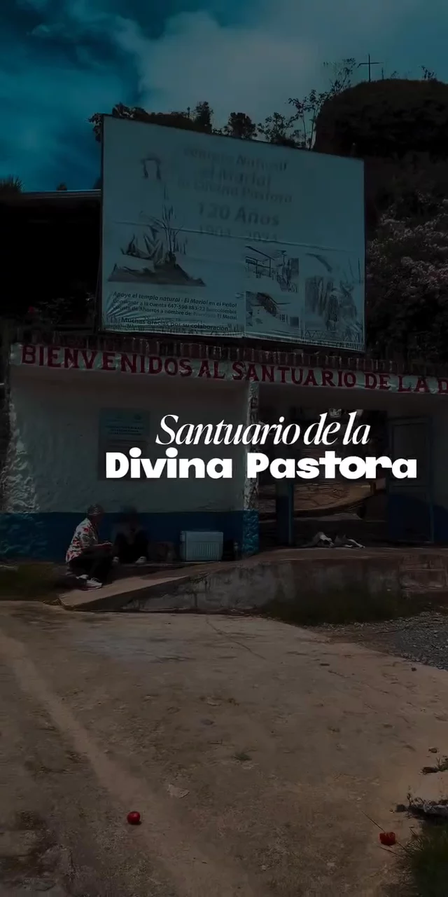 Contenido del creador