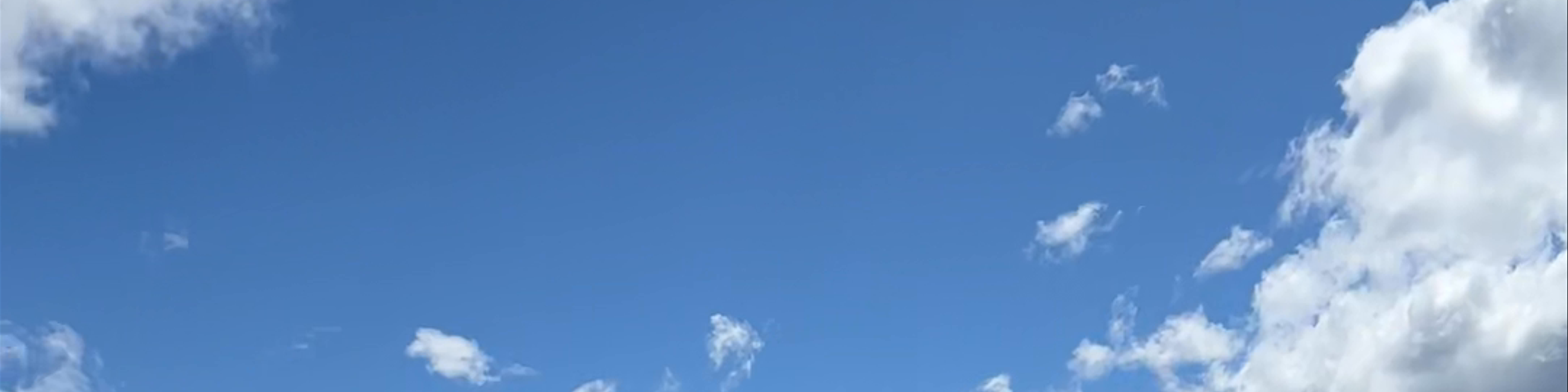 Wanaka