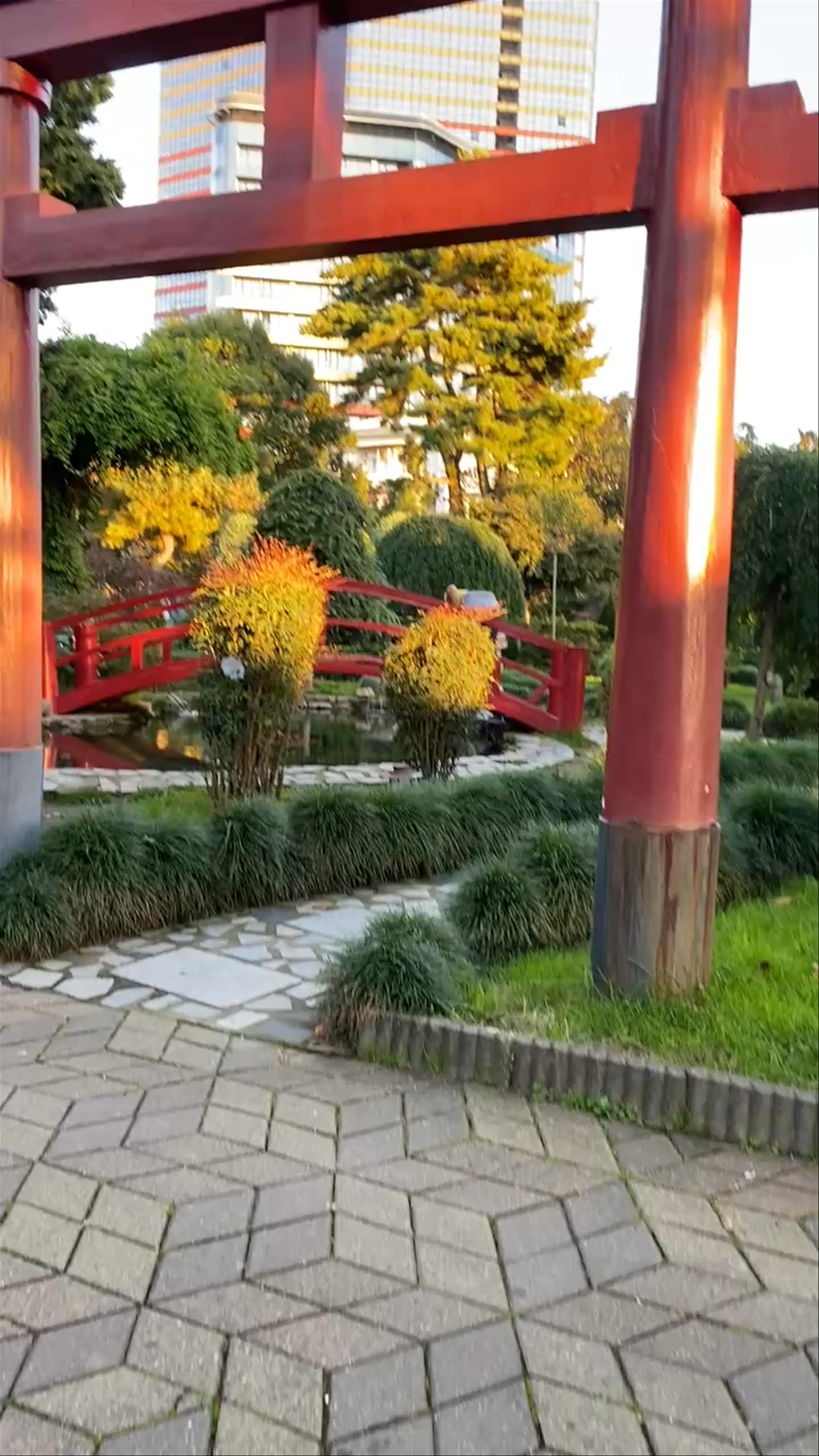 Japanese garden