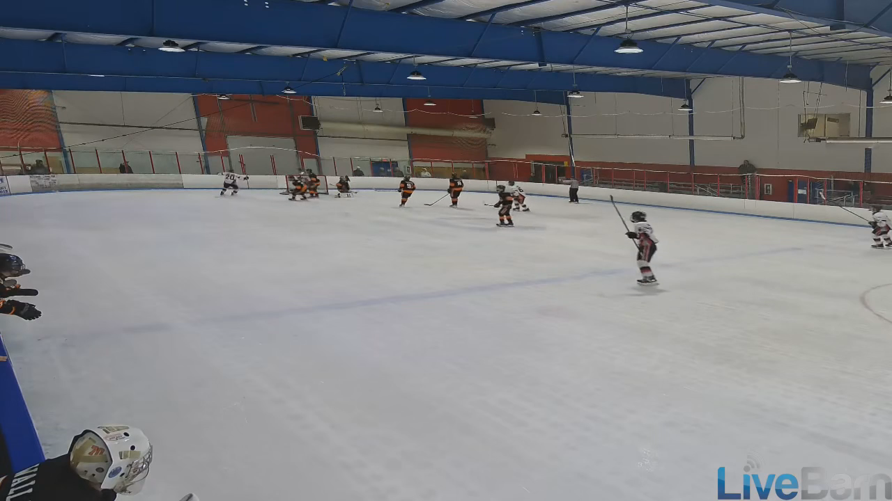 Gavin Perkovich Shines: Chicago Reapers 14U AAA Highlight Reel
