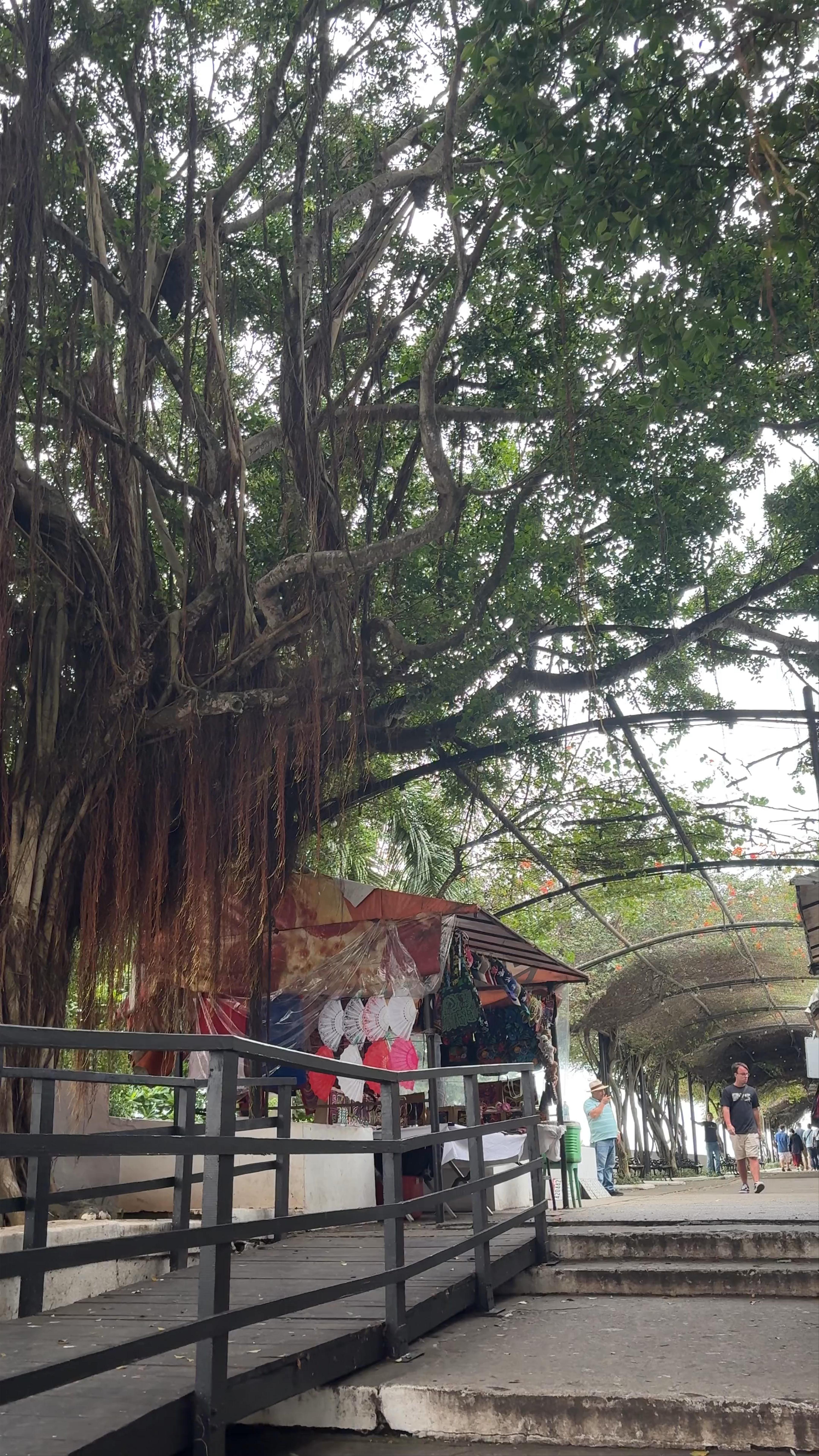 Paseo Esteban Huertas