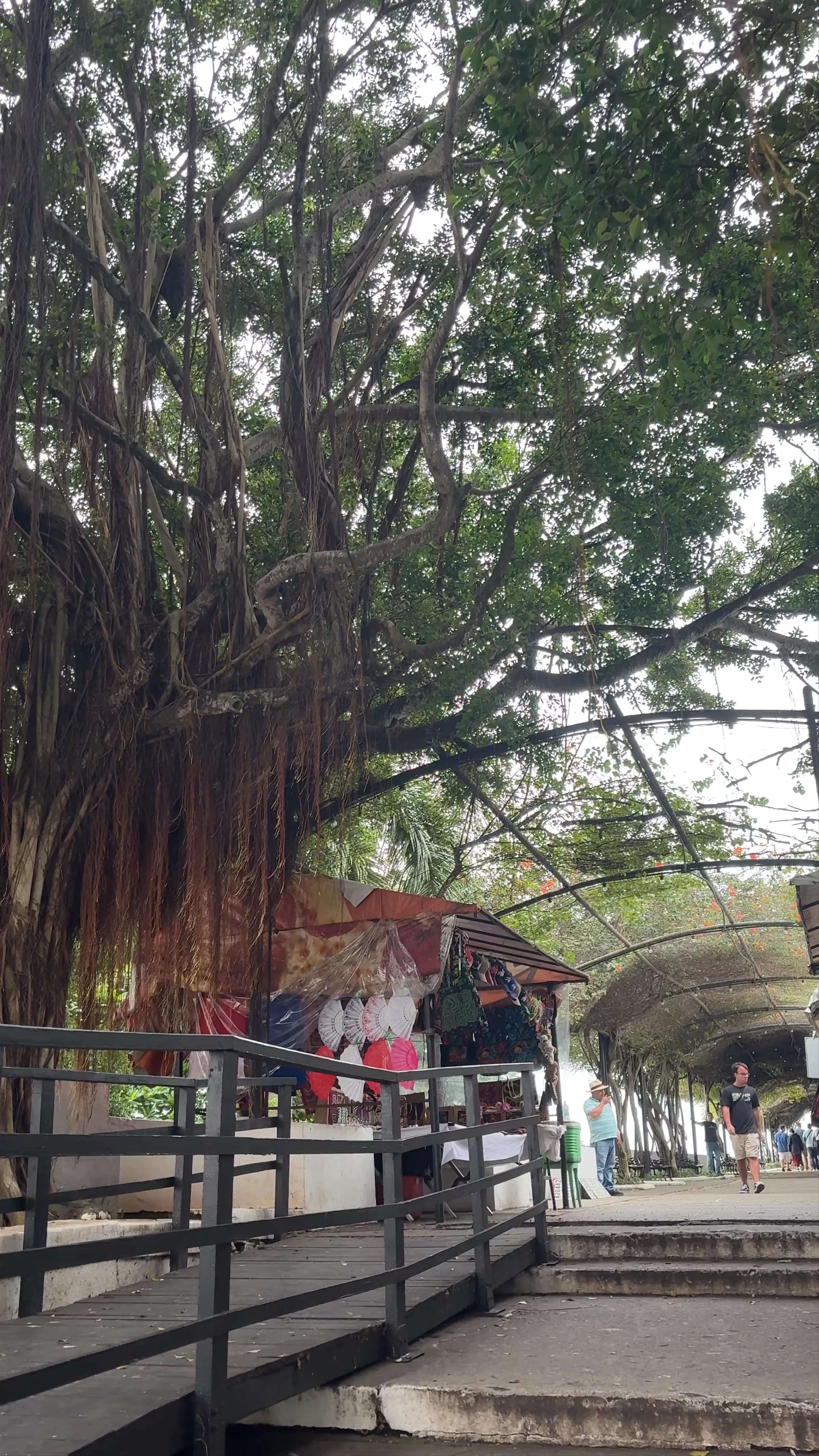 Paseo Esteban Huertas