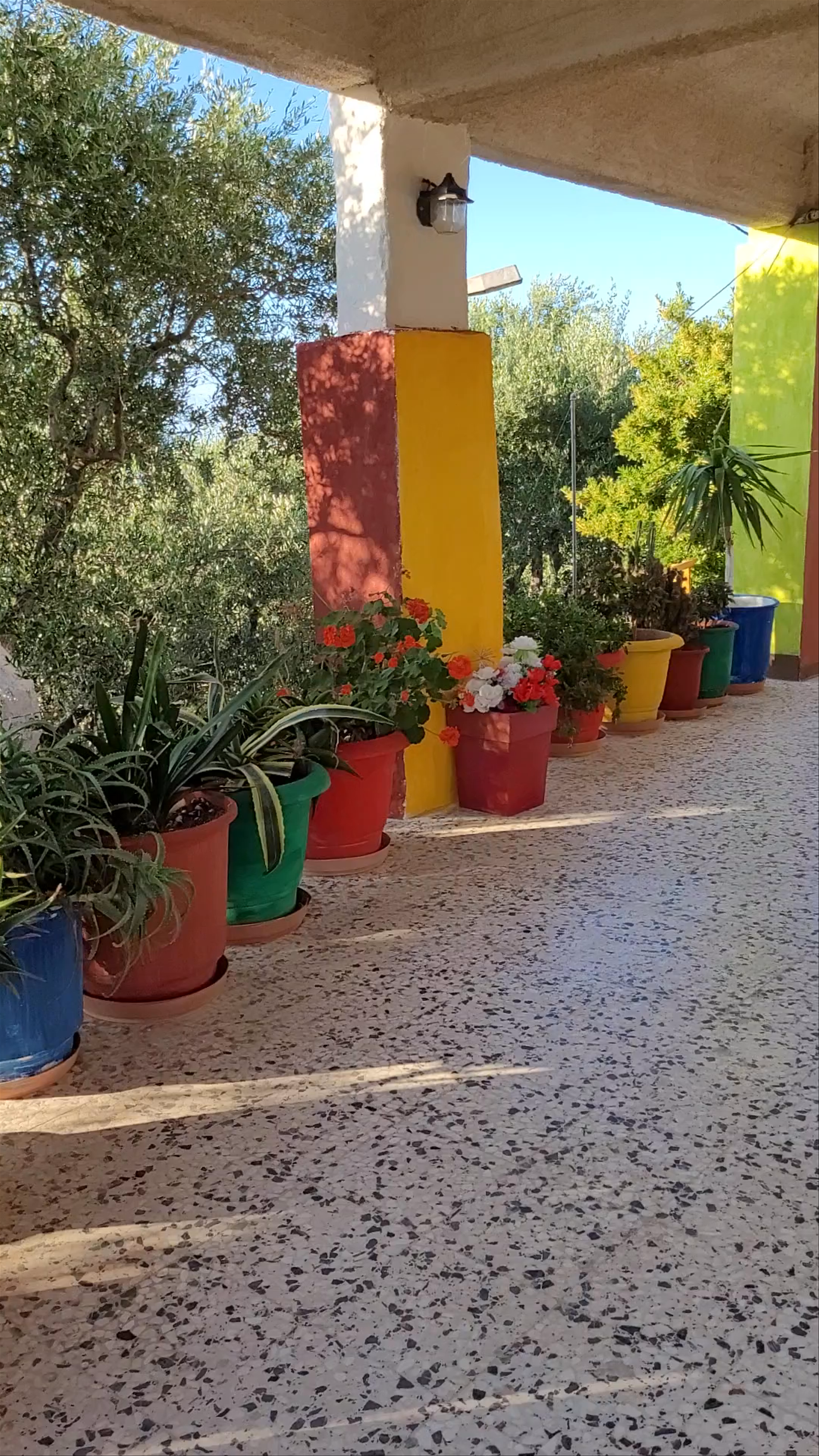 Fioro Tou Levante: A Vibrant Garden Oasis in Ano Gerakari, Zakynthos