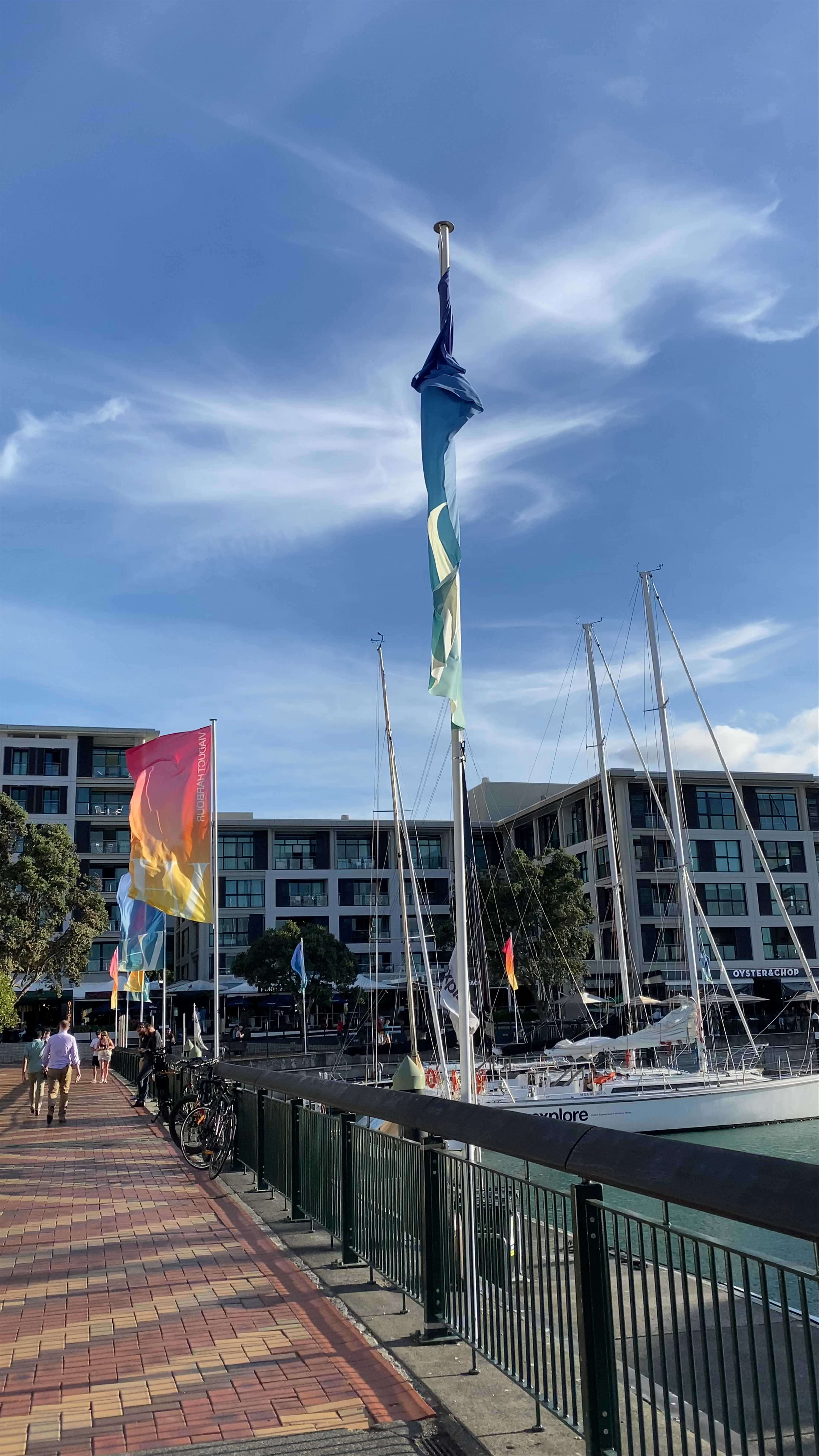 Sunlit Waterfront Stroll at Auckland Quay Street