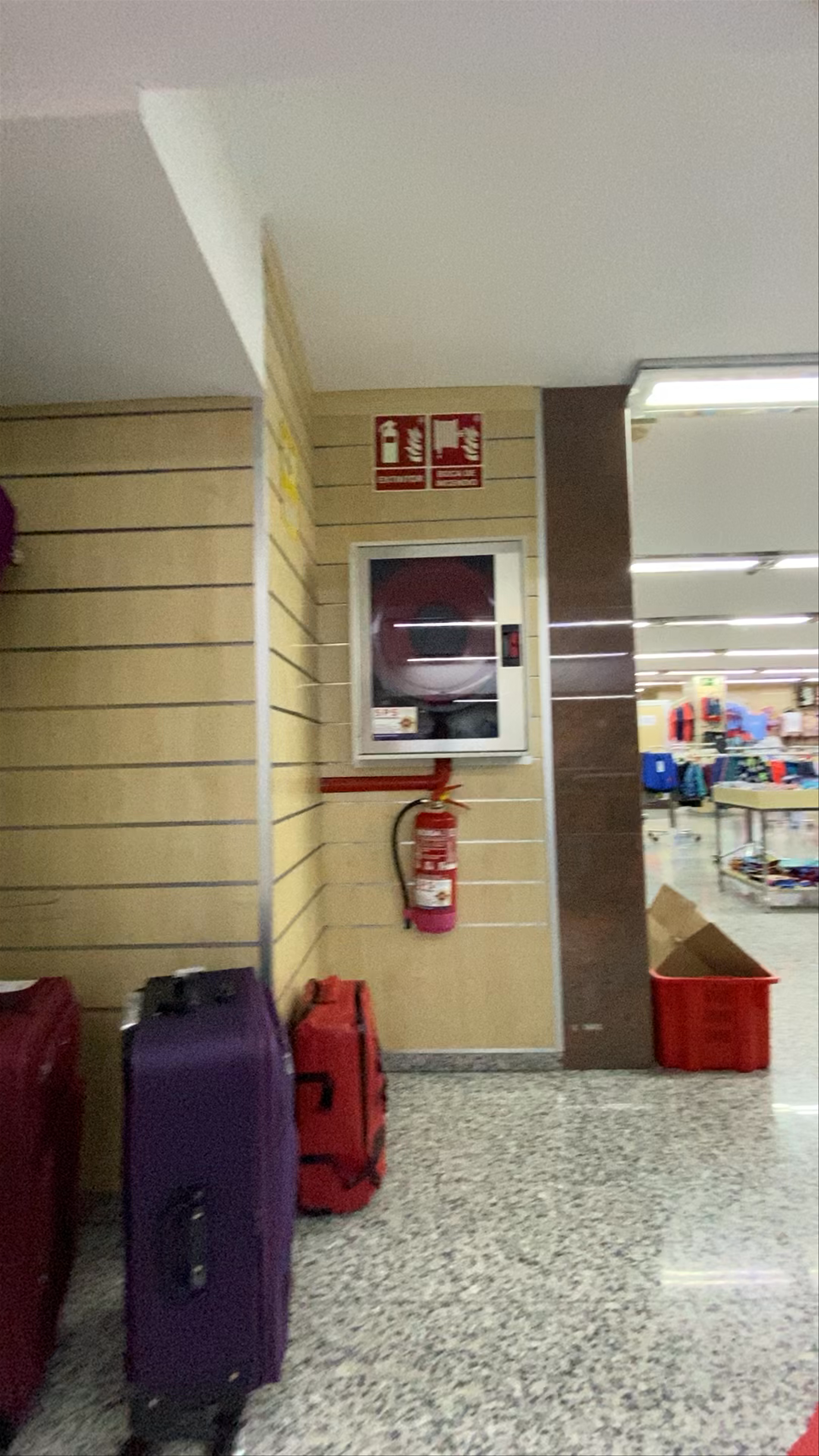 El 99