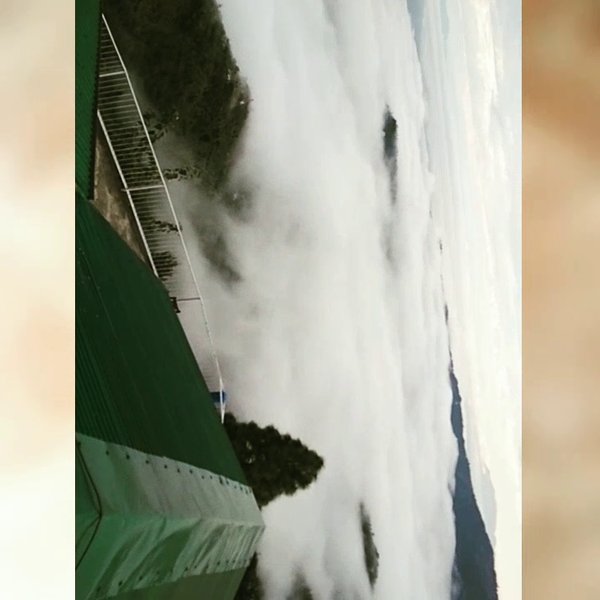 Photo of Exploring steps