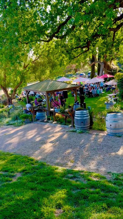 Still Waters Vineyards - Beautiful fun setting - Wineries Near Me - Paso Robles, California