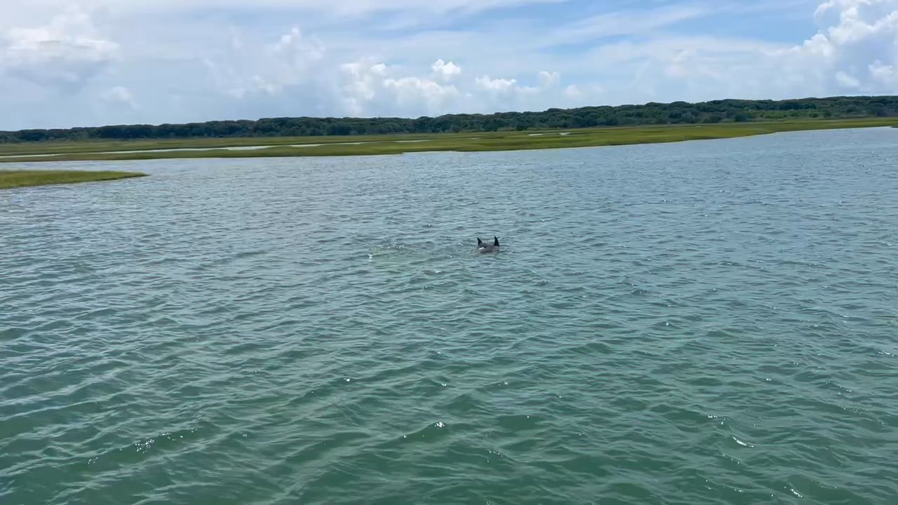 Emerald Isle Adventures - Fishing Near Me - Emerald Isle, North Carolina