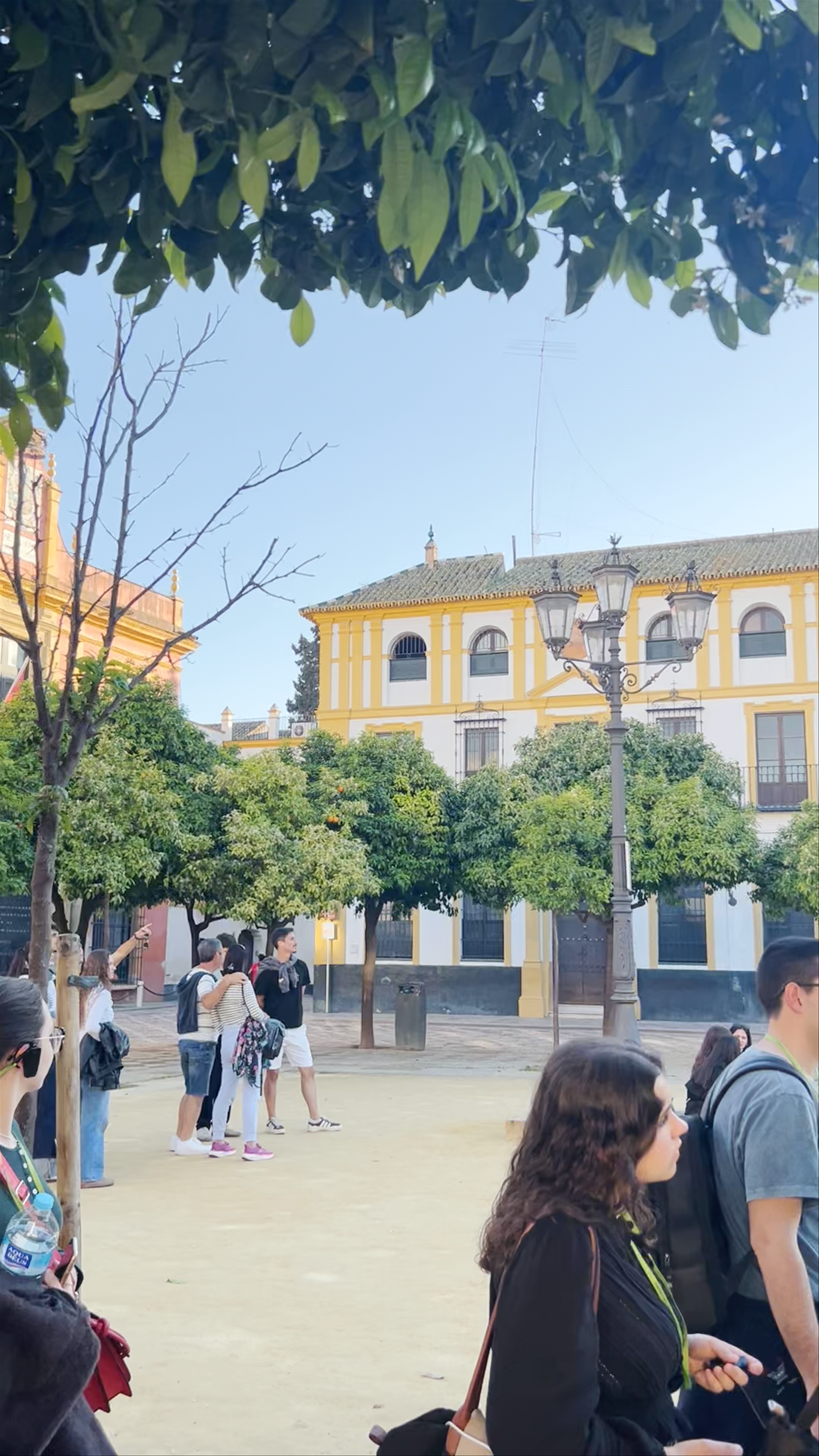 Real Alcázar