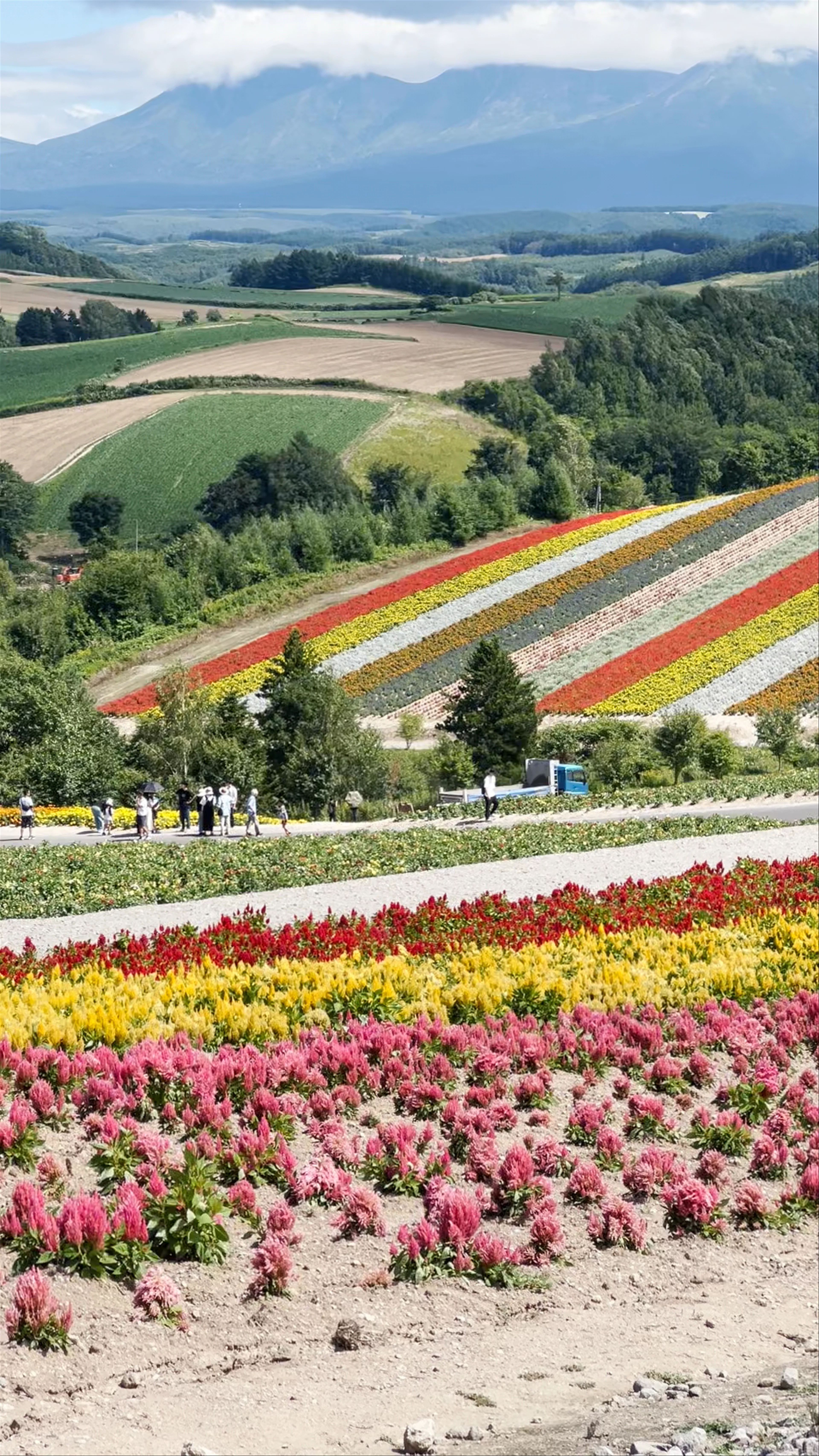 Shikisai no oka, Shinsei, Biei, Hokkaido, Japan
