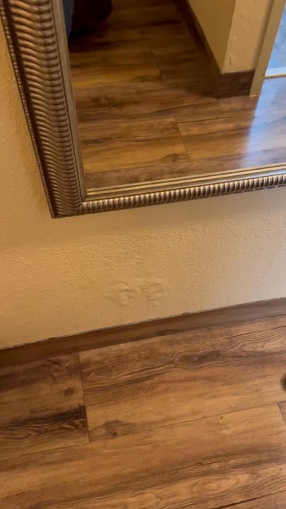 Econo Lodge - Hotels Near Me - Albert Lea, Minnesota