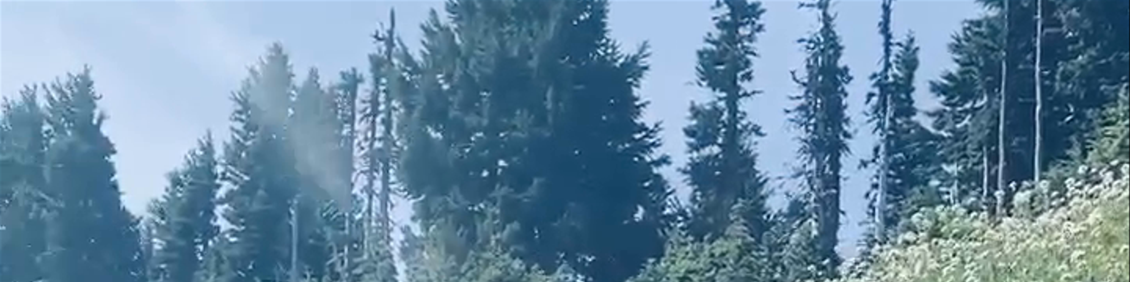 Carbonado