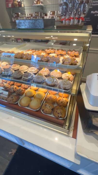 The Gingerbread Construction - Bakeries Near Me - Winchester, Massachusetts