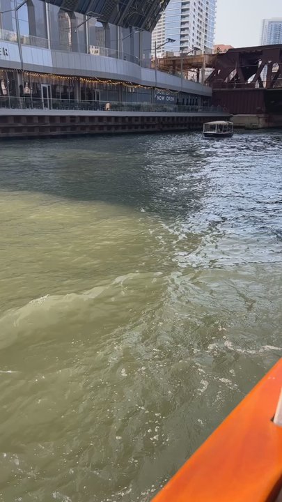Chicago Line Cruises - Boat Charters Near Me - Chicago, Illinois