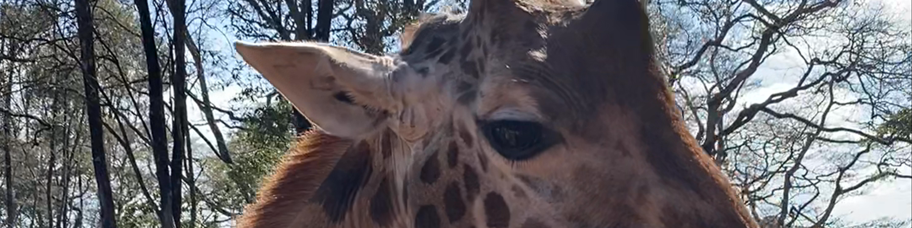 Kenya