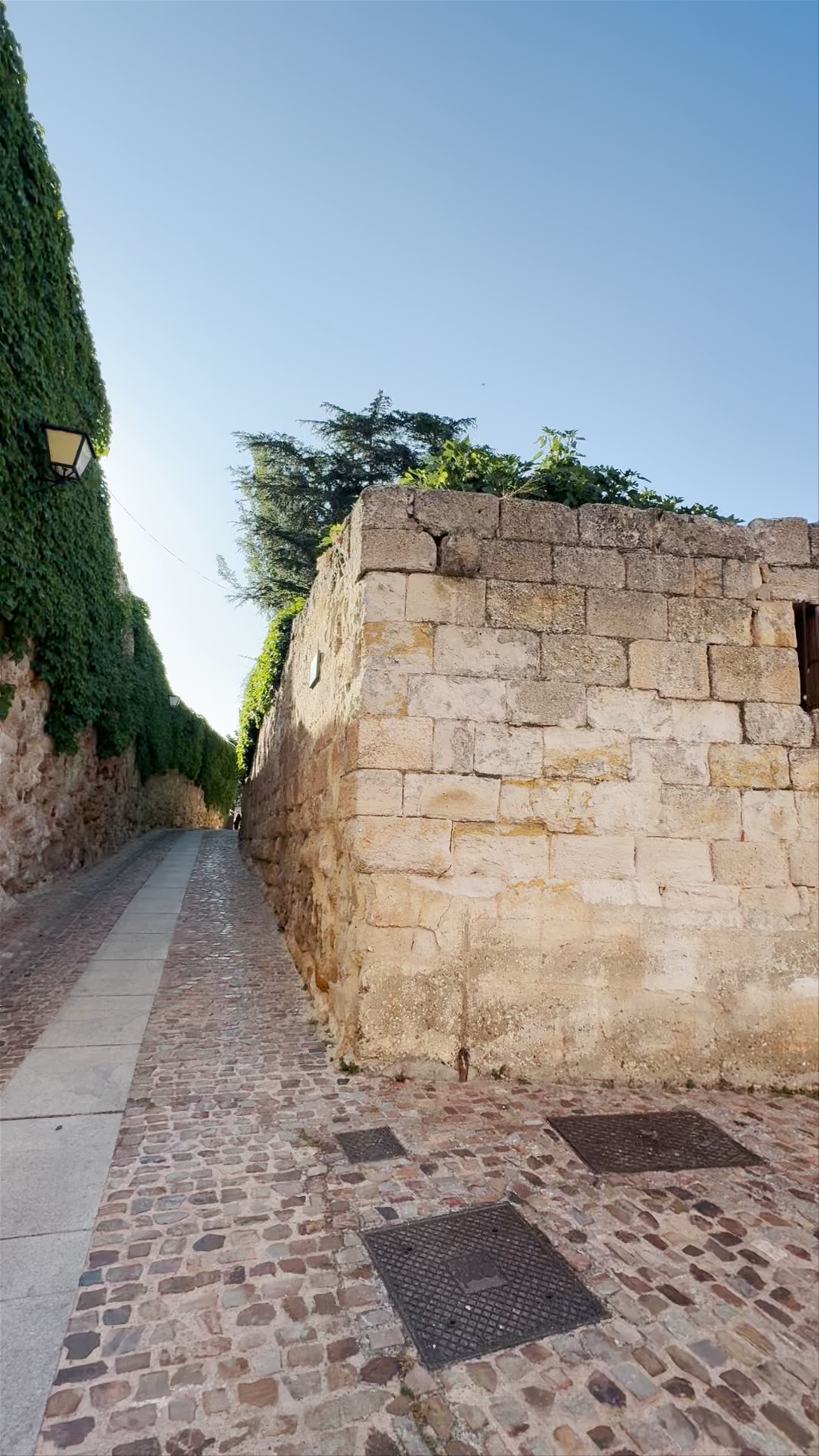 Casa del Cid. Placa