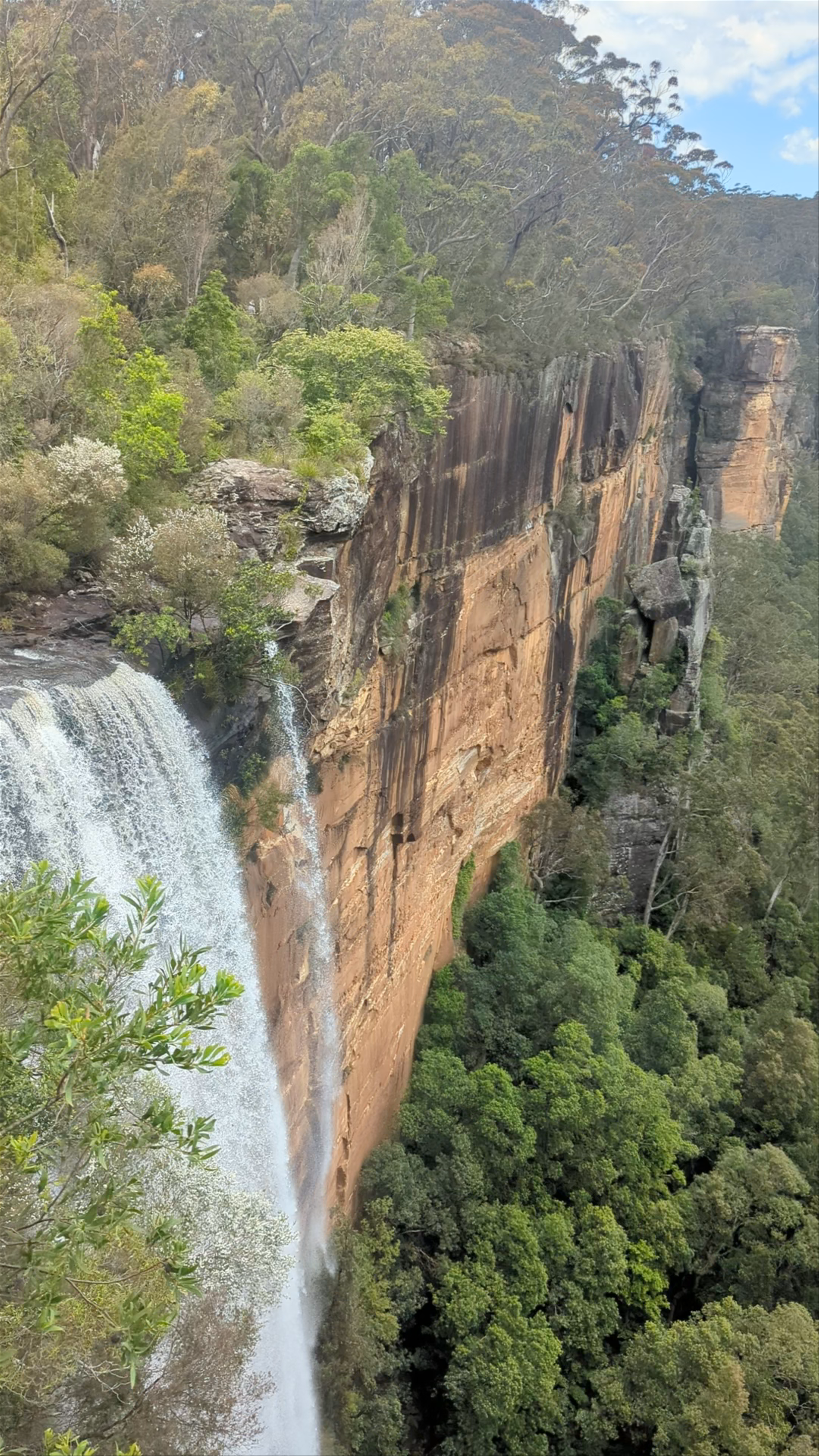 Fitzroy Falls Lookout