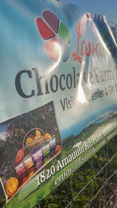 Lavaloha - Views from the Visitors Center - Chocolatiers & Shops Near Me - Hilo, Hawaii