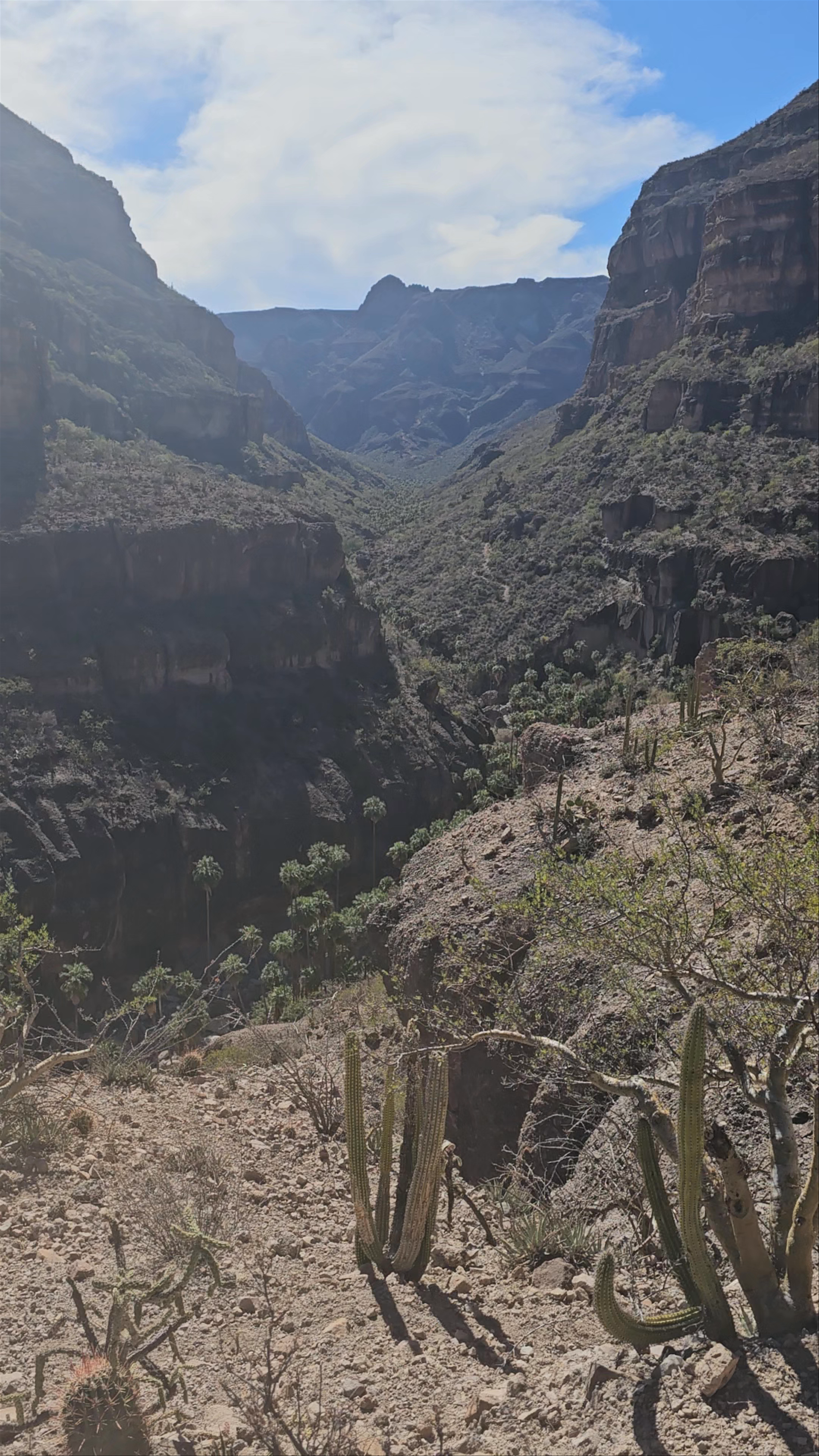 Sierra San Francisco