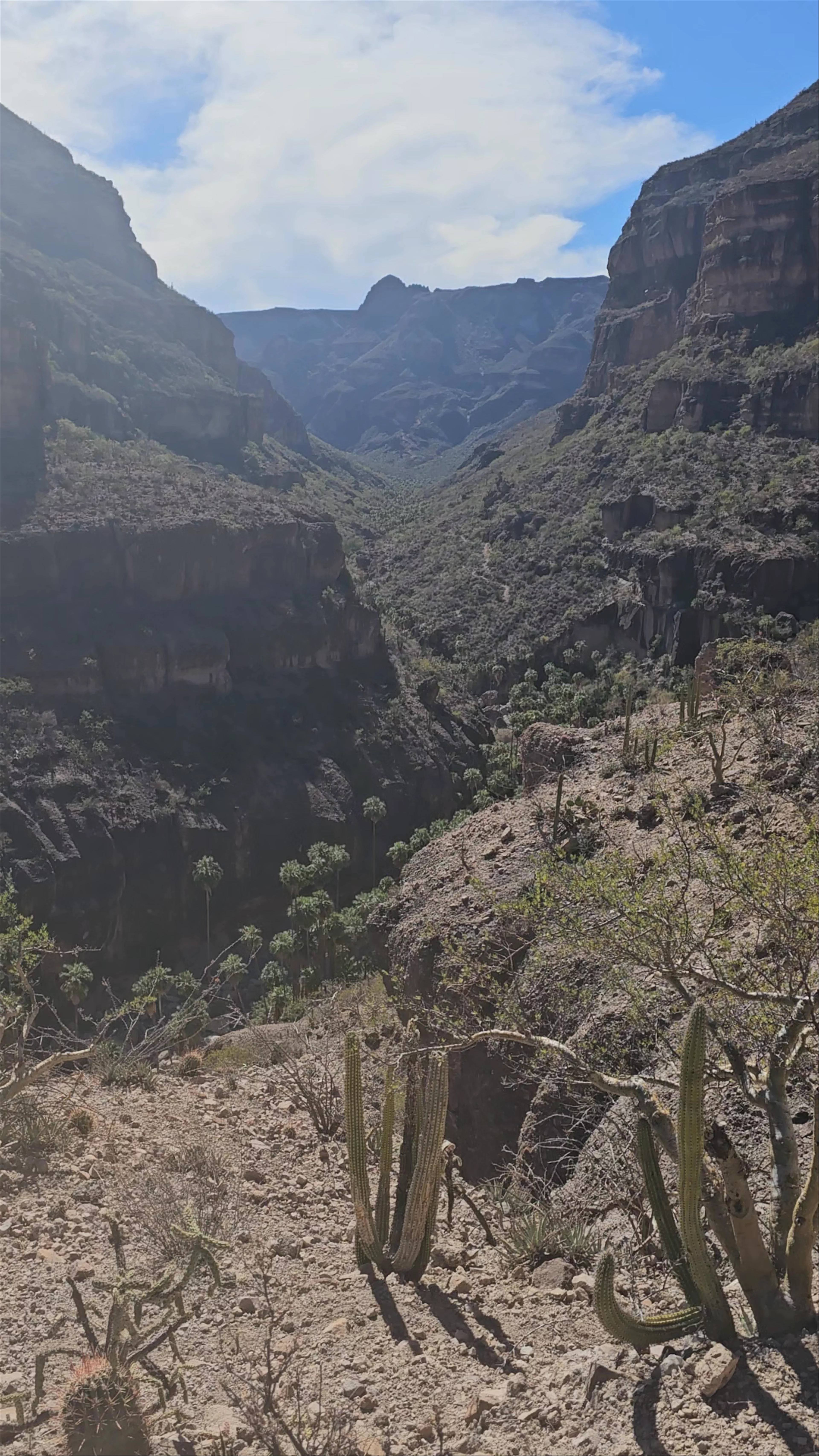 Villa Alberto Andrés Alvarado Arámburo