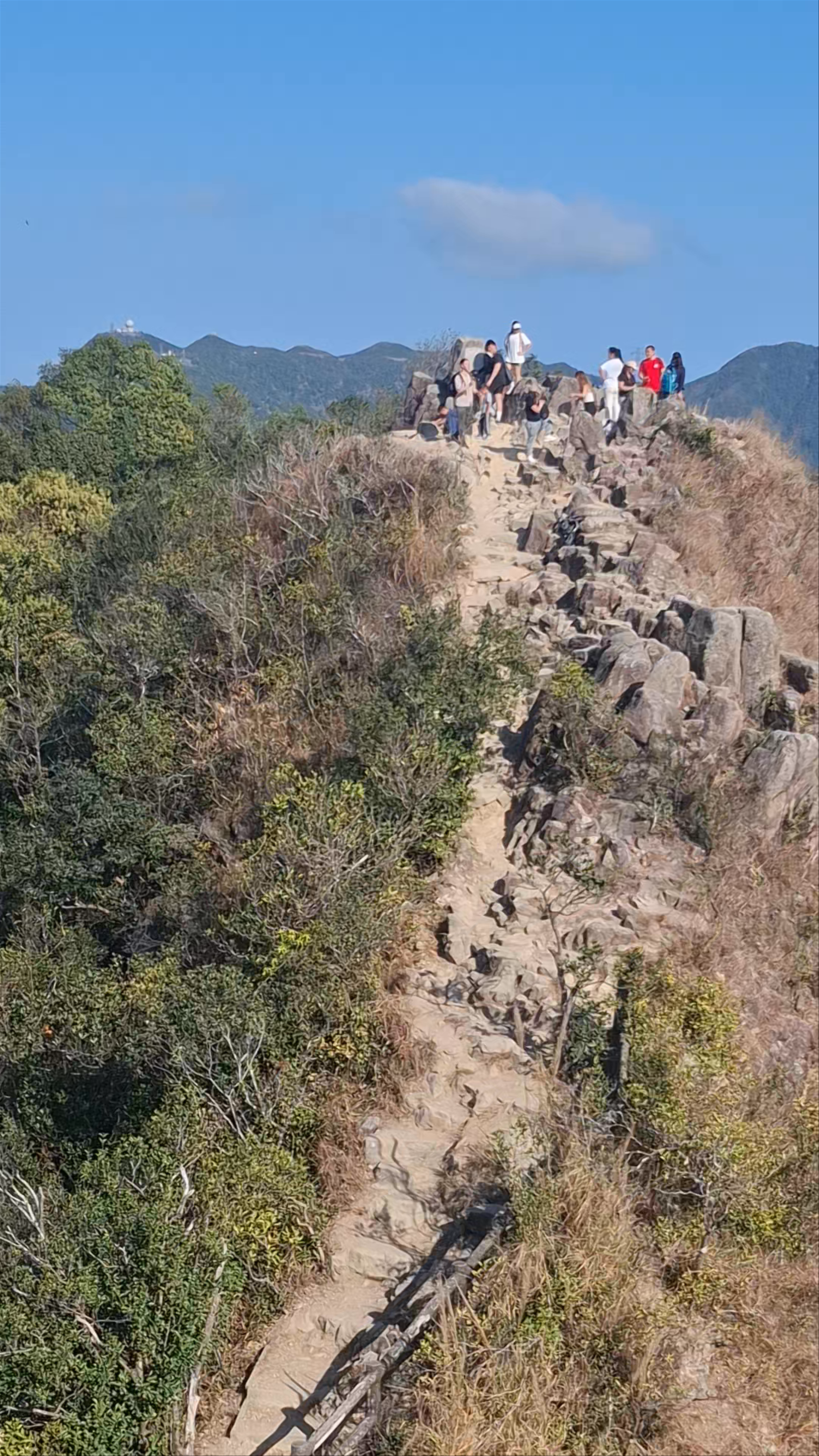 Lion Rock Country Park