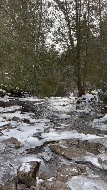 Hilton Falls Conservation Area - Parks Near Me - Milton, Ontario