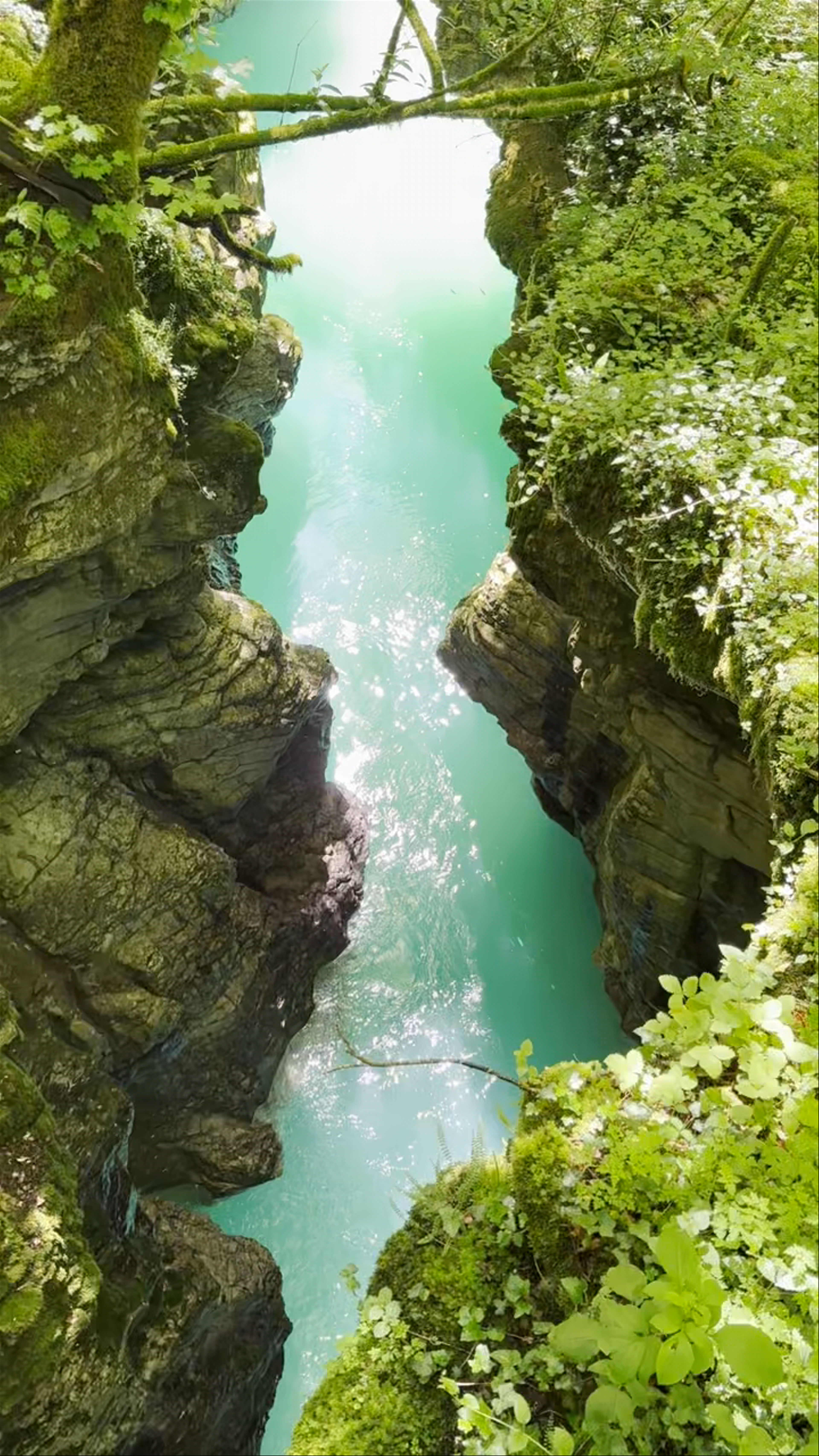 Martvili Canyon Bridge