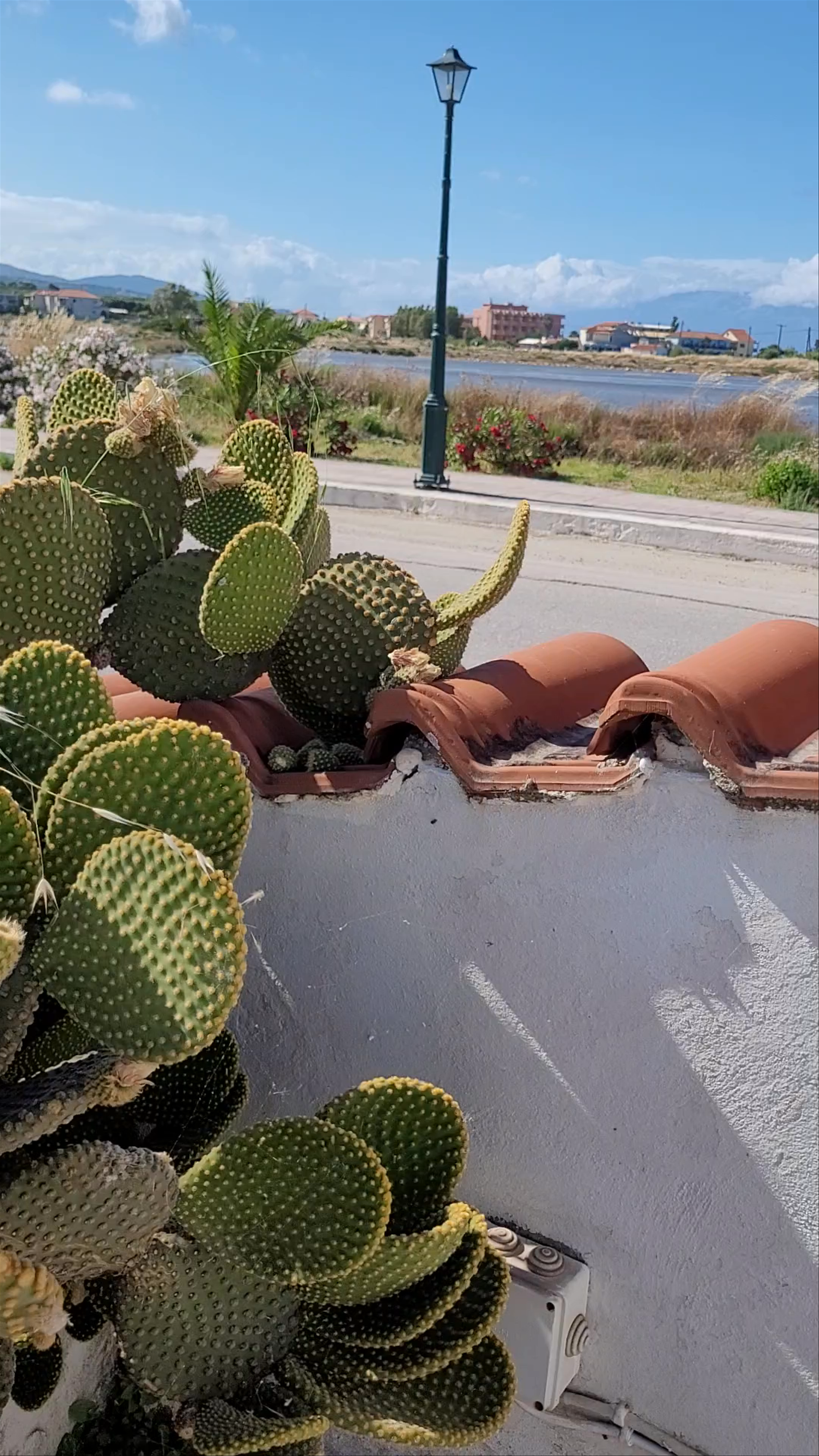 Paradise Taverna Pizzeria