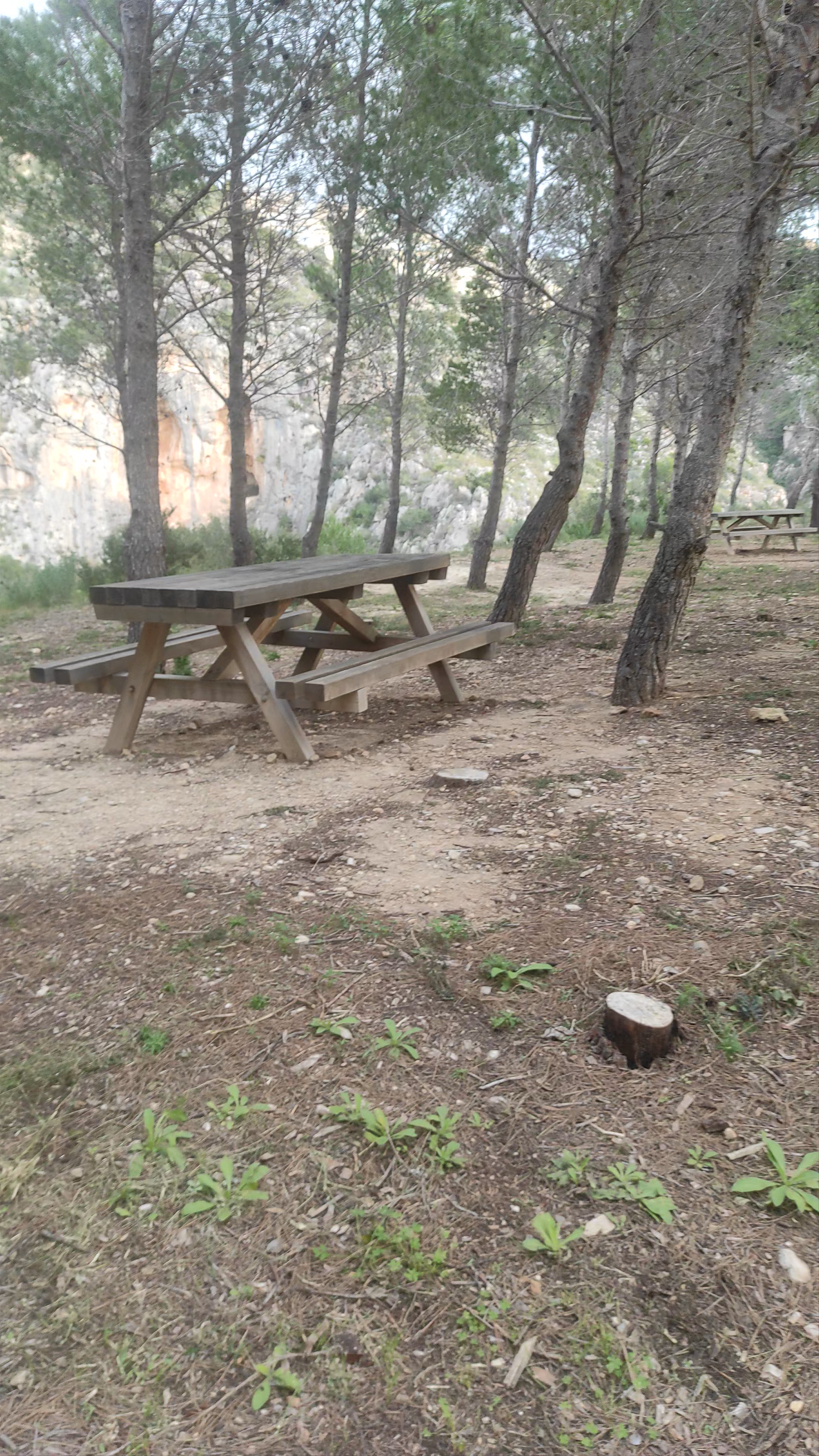 Mirador dels Testos