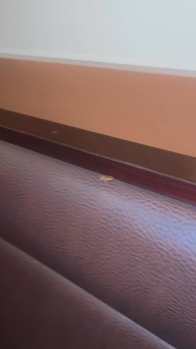 Kumo Sushi - Sushi Bars Near Me - Rochester, Minnesota