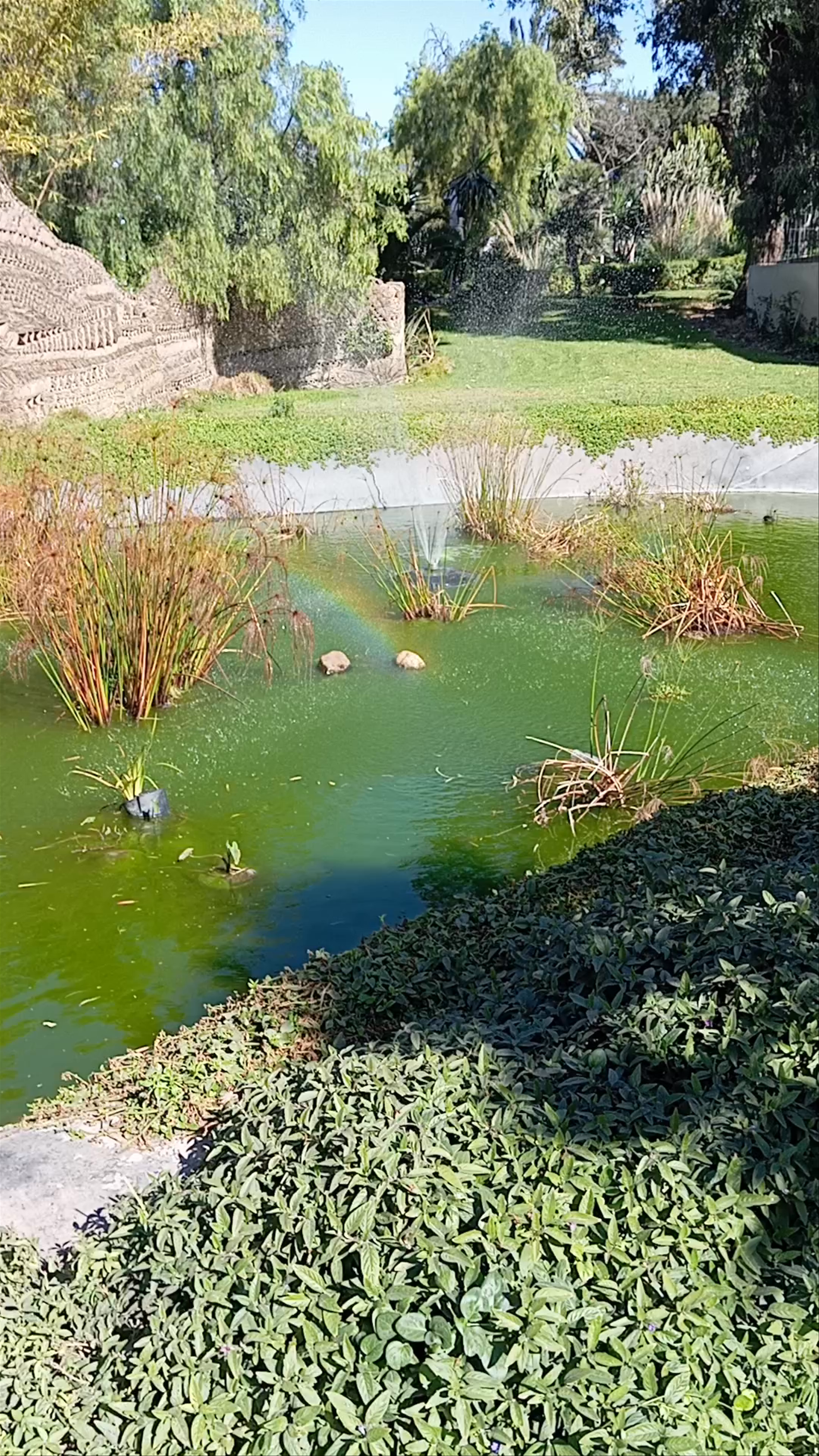 Jardin Olhao Agadir