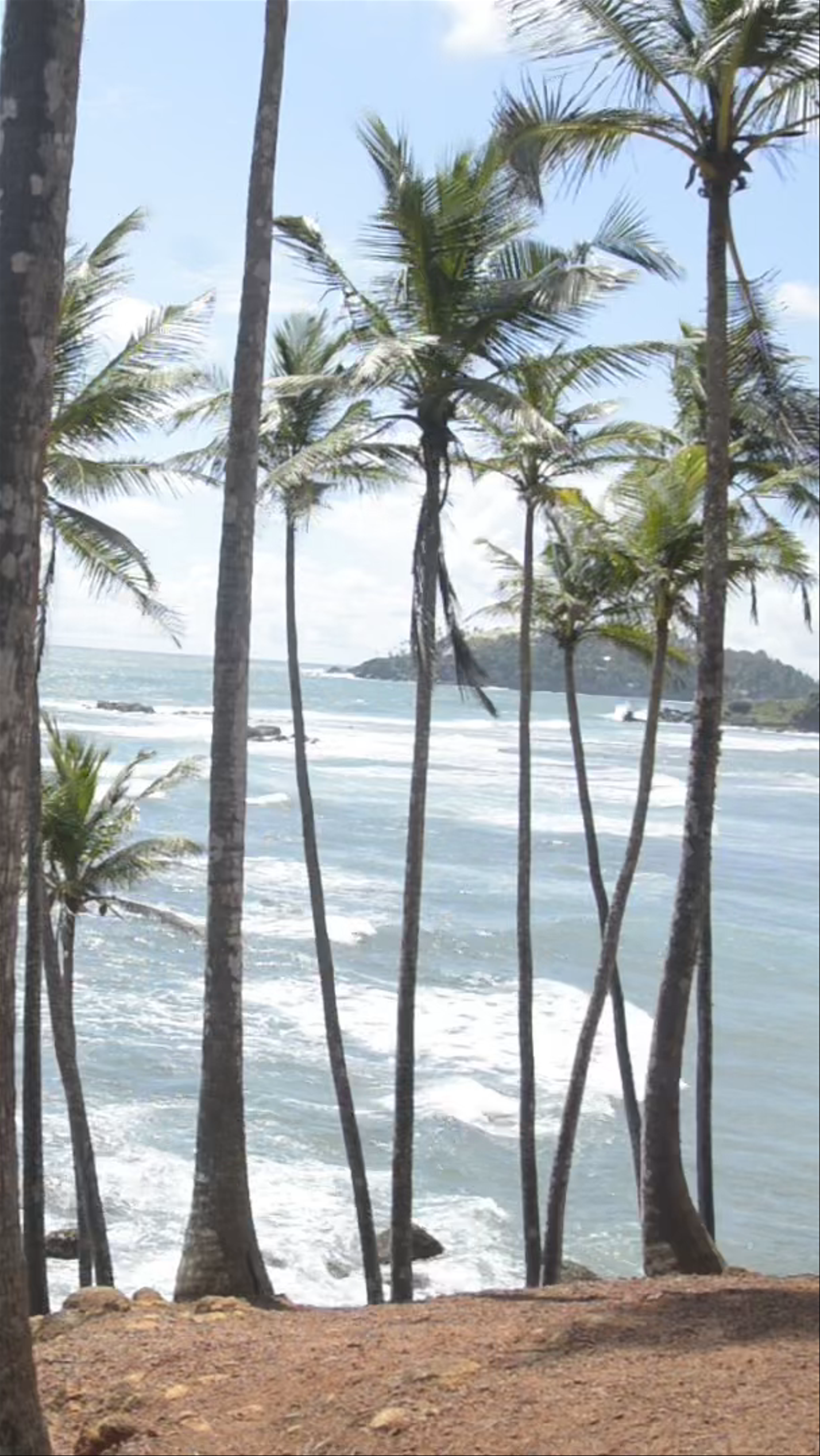 Coconut Tree Hill: A Tropical Coastal Escape in Mirissa, Sri Lanka