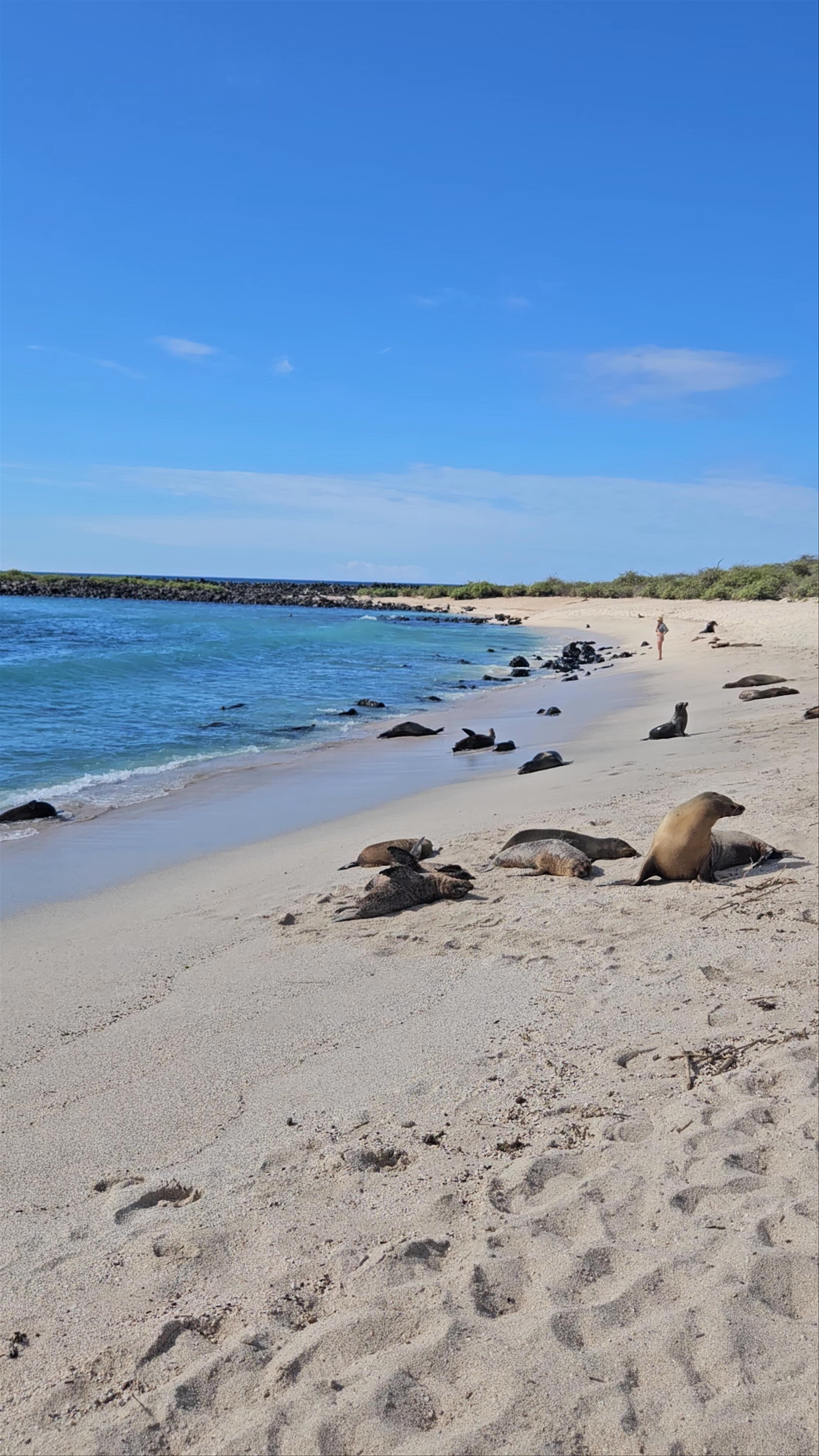 Playa Punta Carola